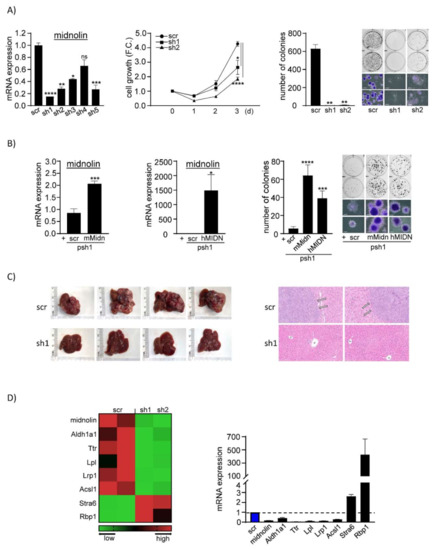 Cancers 14 01421 g001 550
