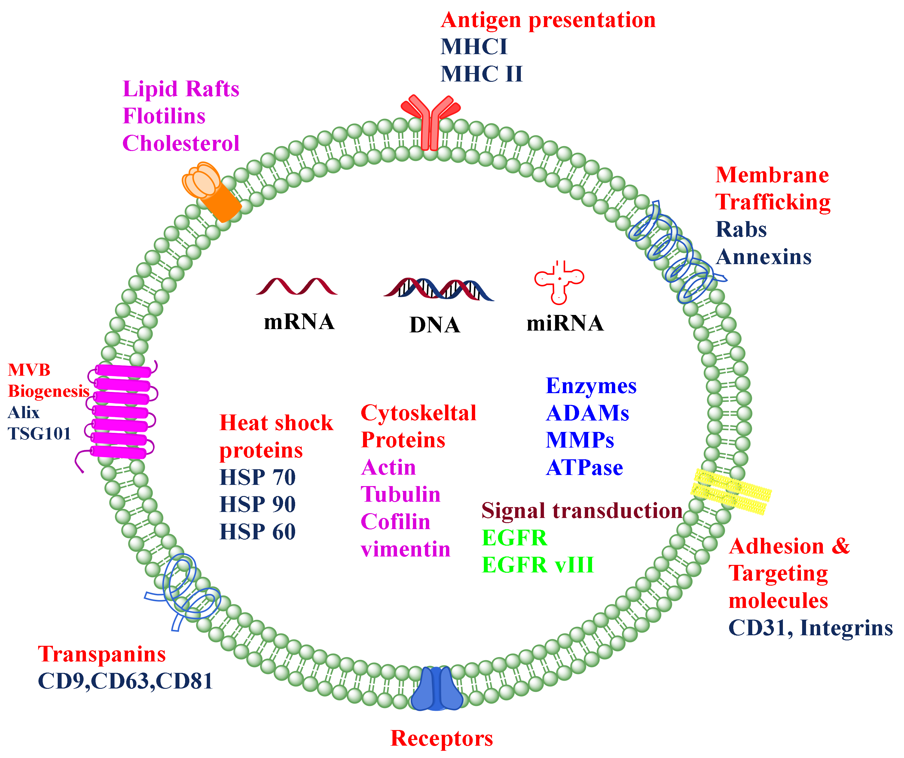 Cancers 14 01435 g001