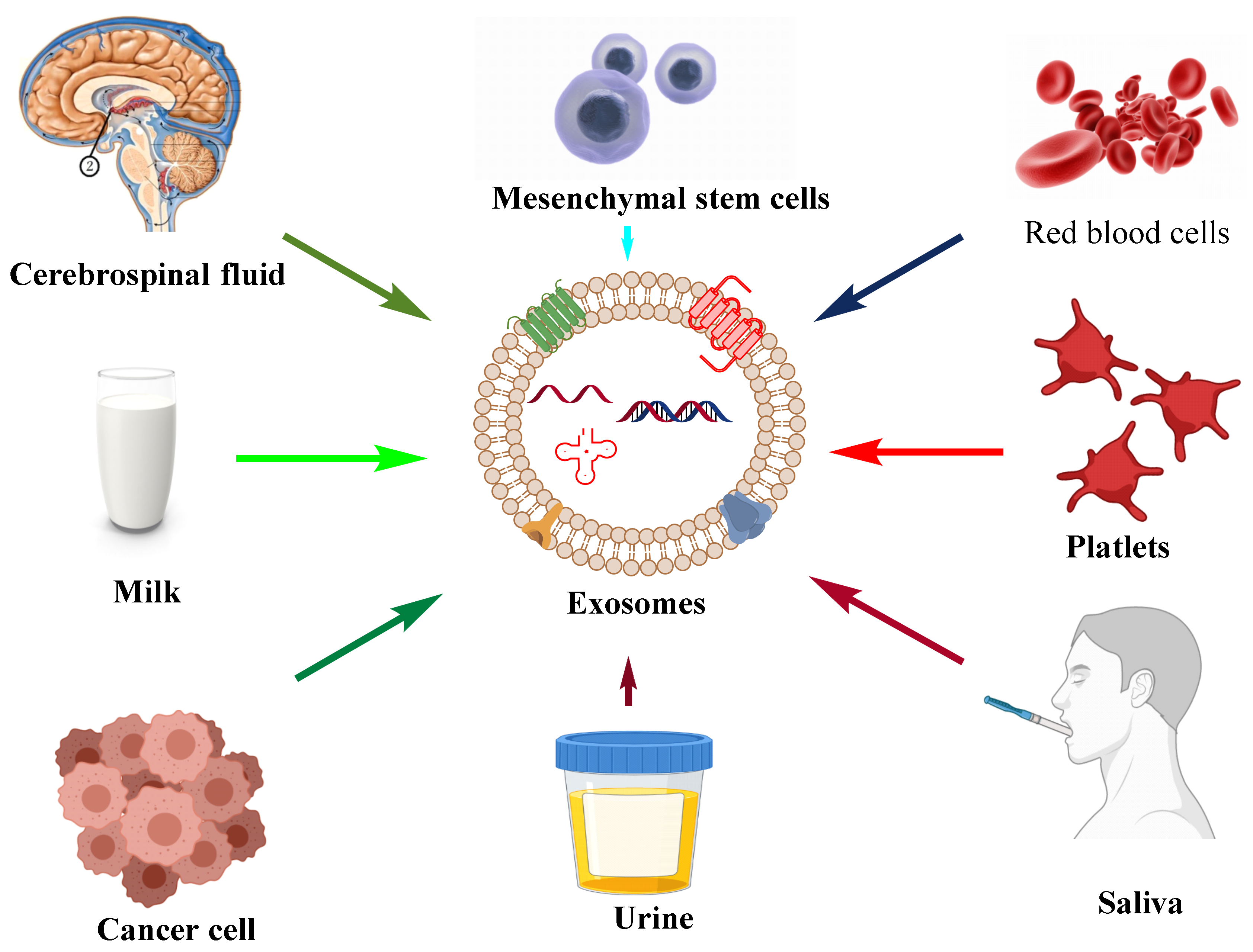 Cancers 14 01435 g002