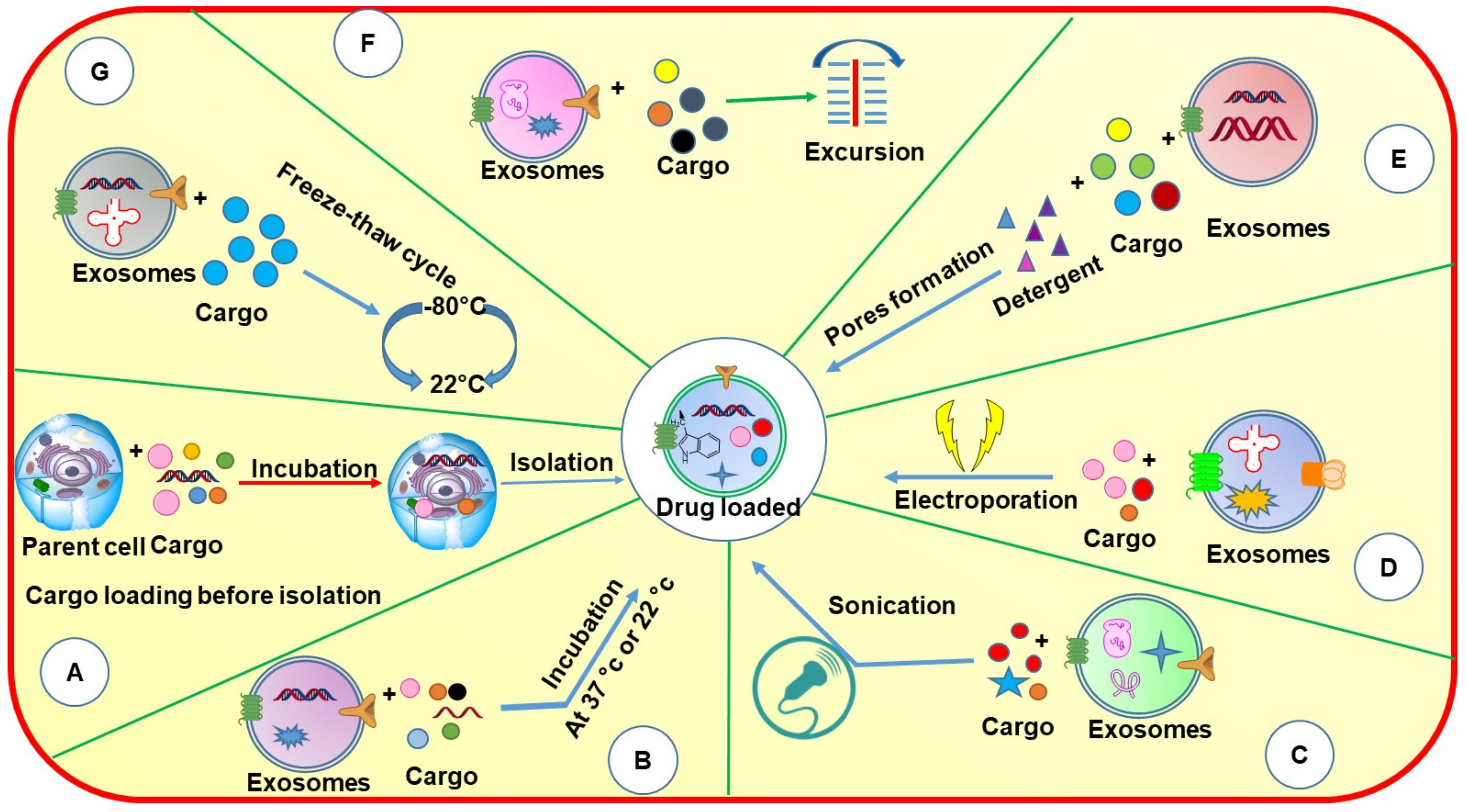 Cancers 14 01435 g005