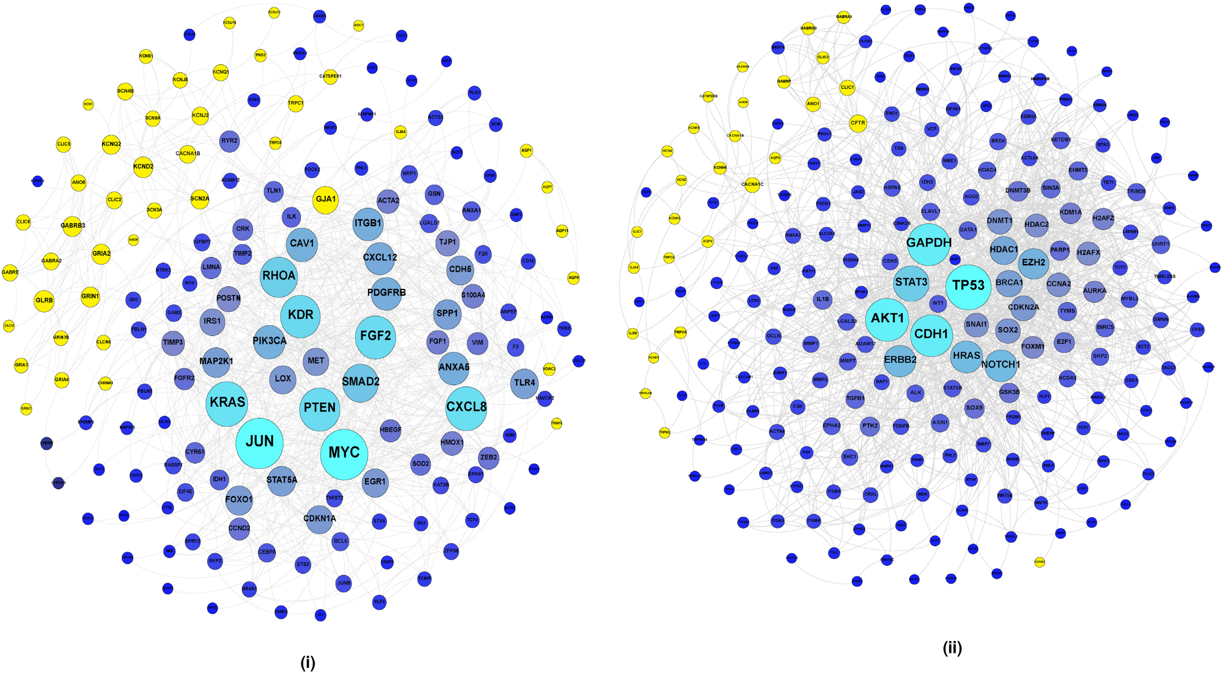 Cancers 14 01444 g004