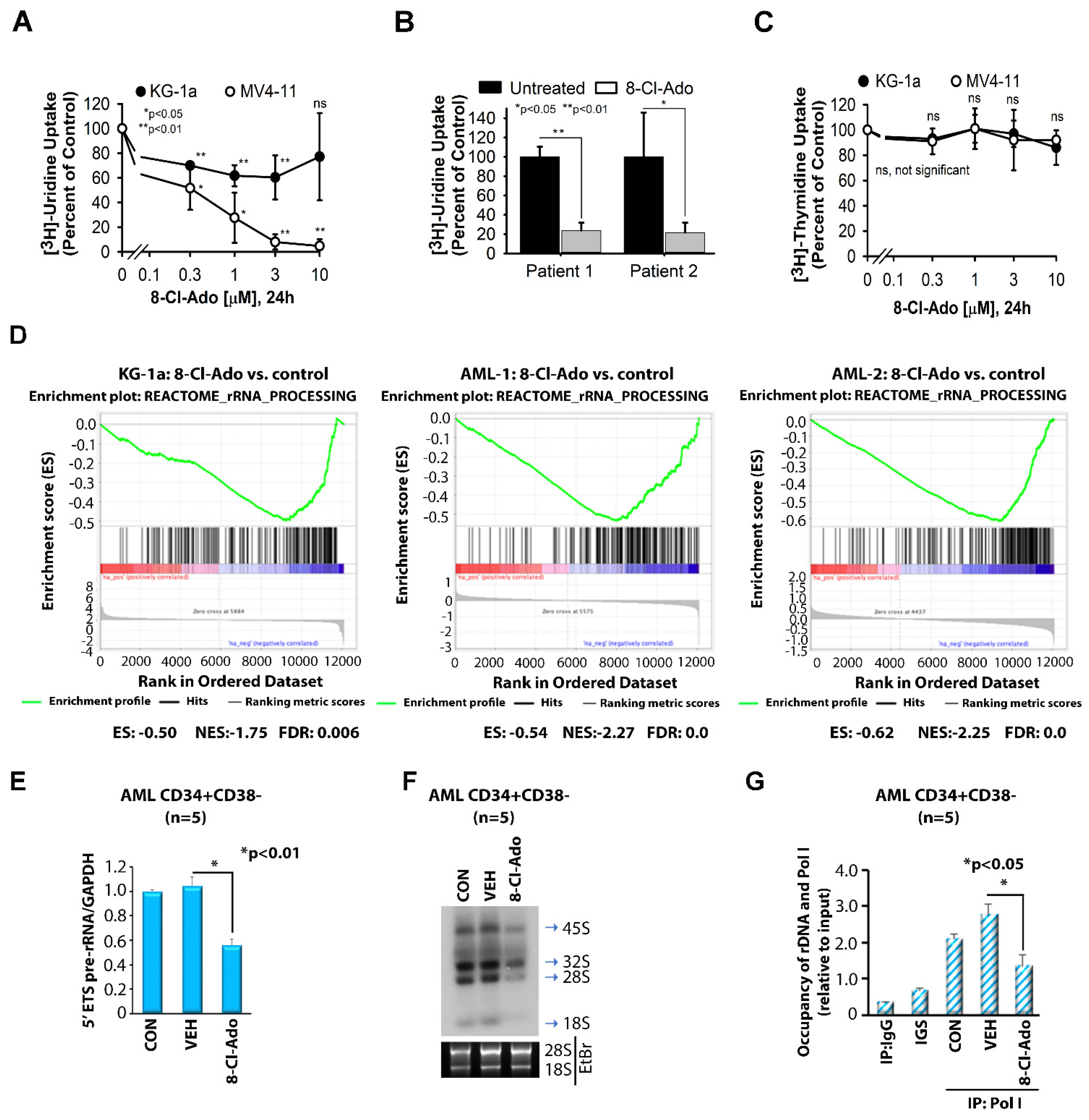 Cancers 14 01446 g001