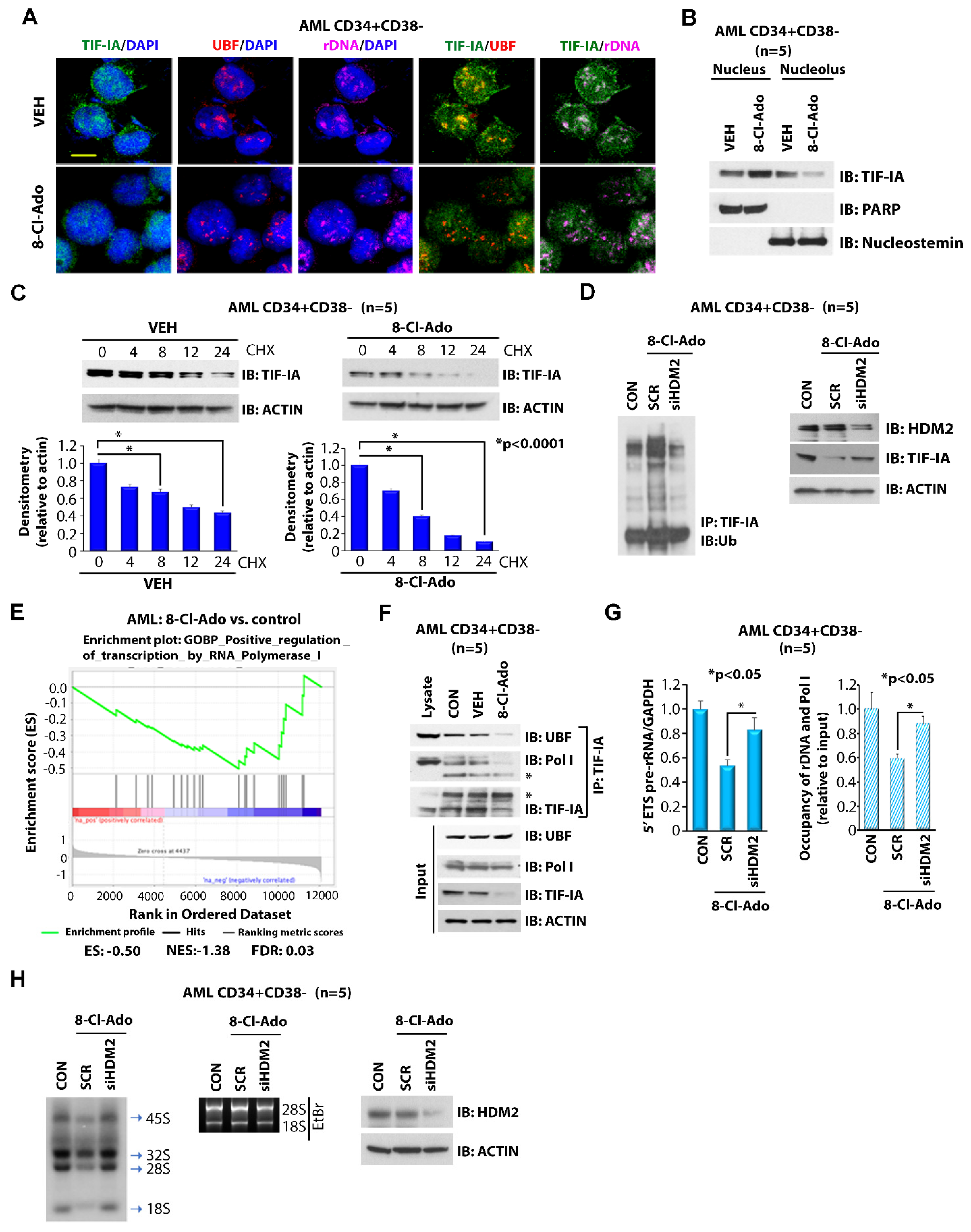 Cancers 14 01446 g002