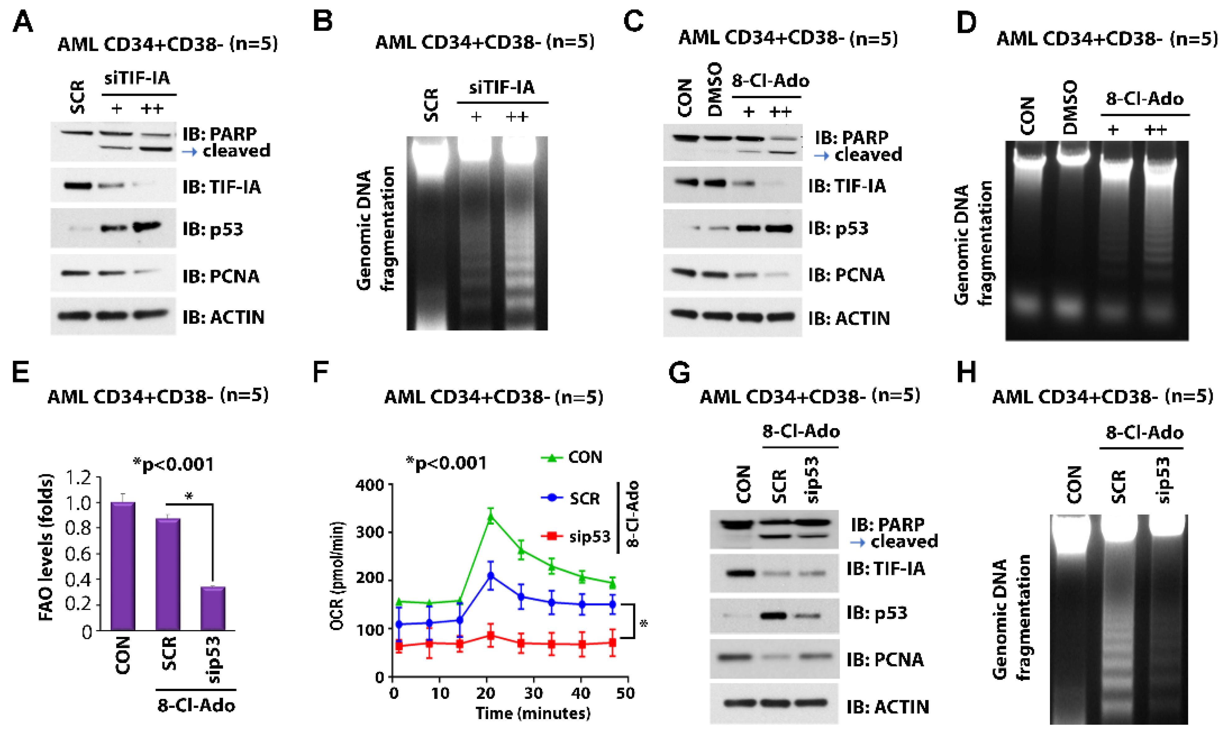 Cancers 14 01446 g003