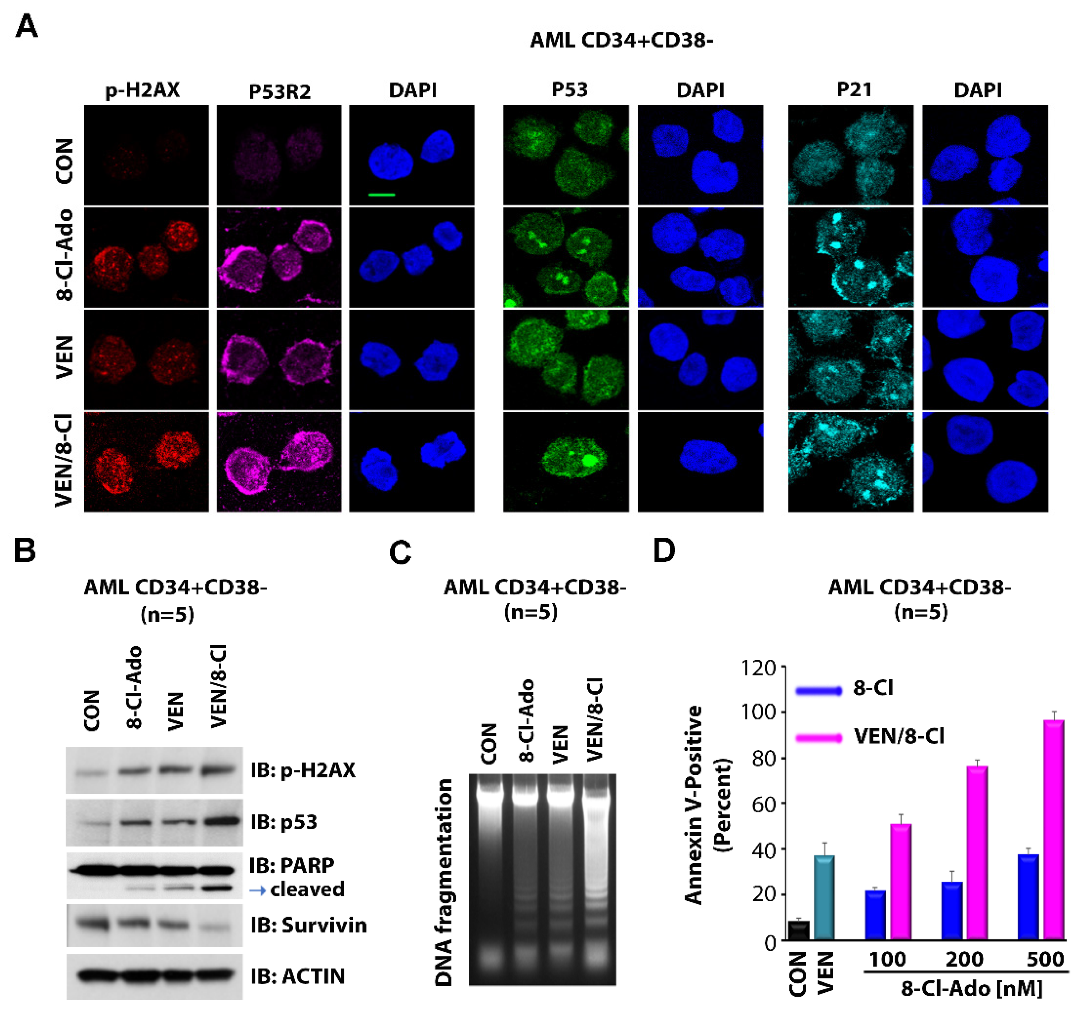 Cancers 14 01446 g005