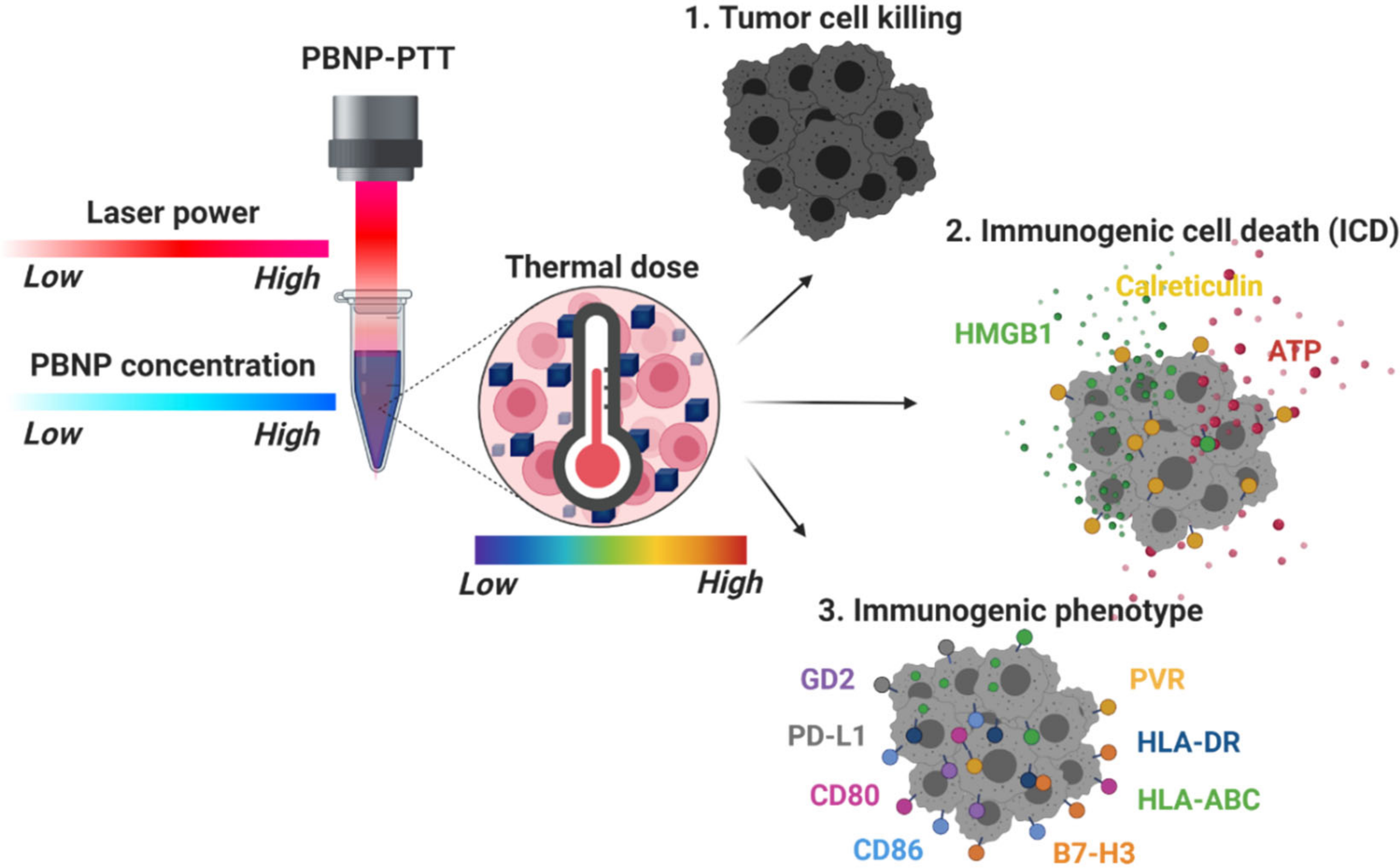 Cancers 14 01447 g001