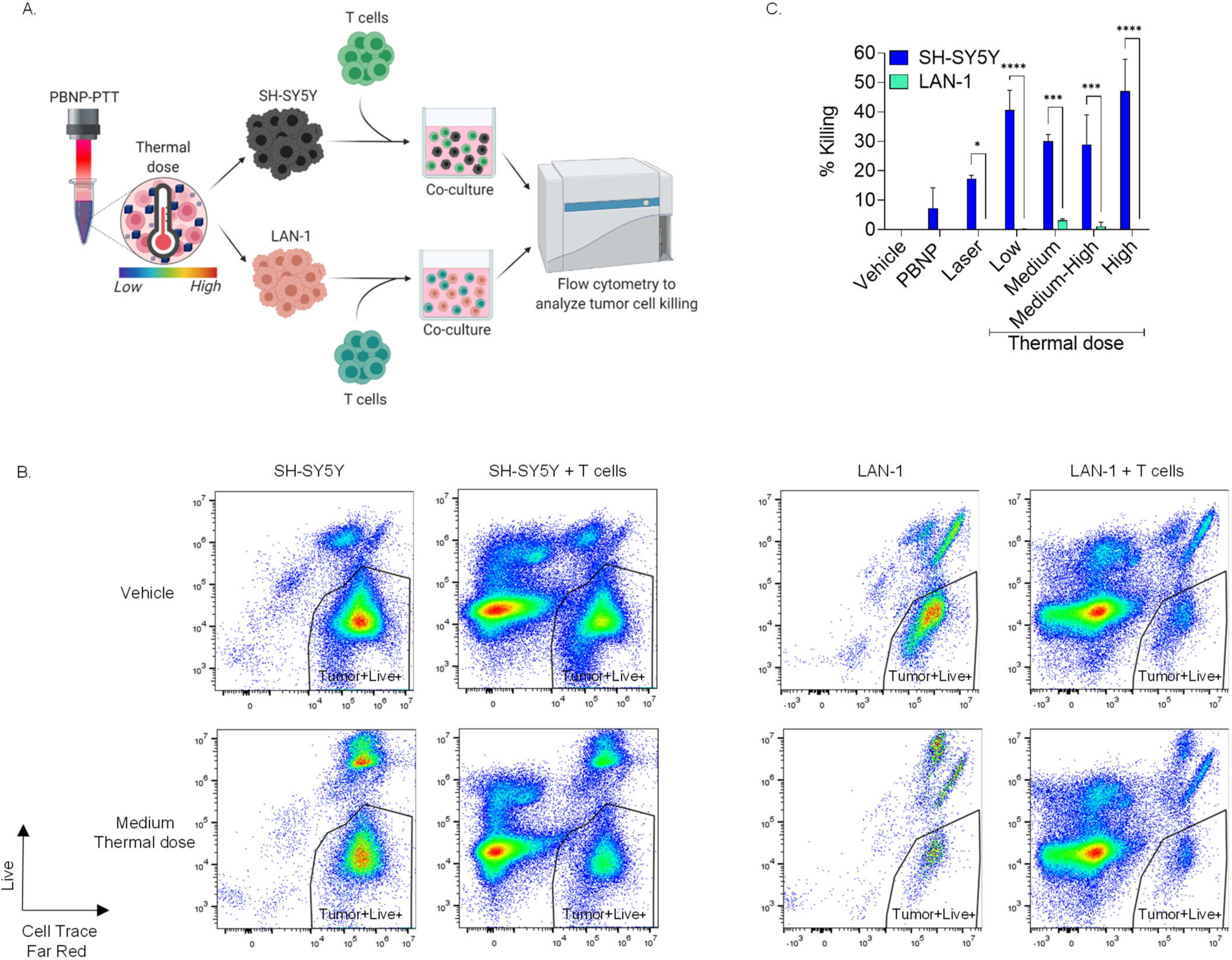Cancers 14 01447 g007