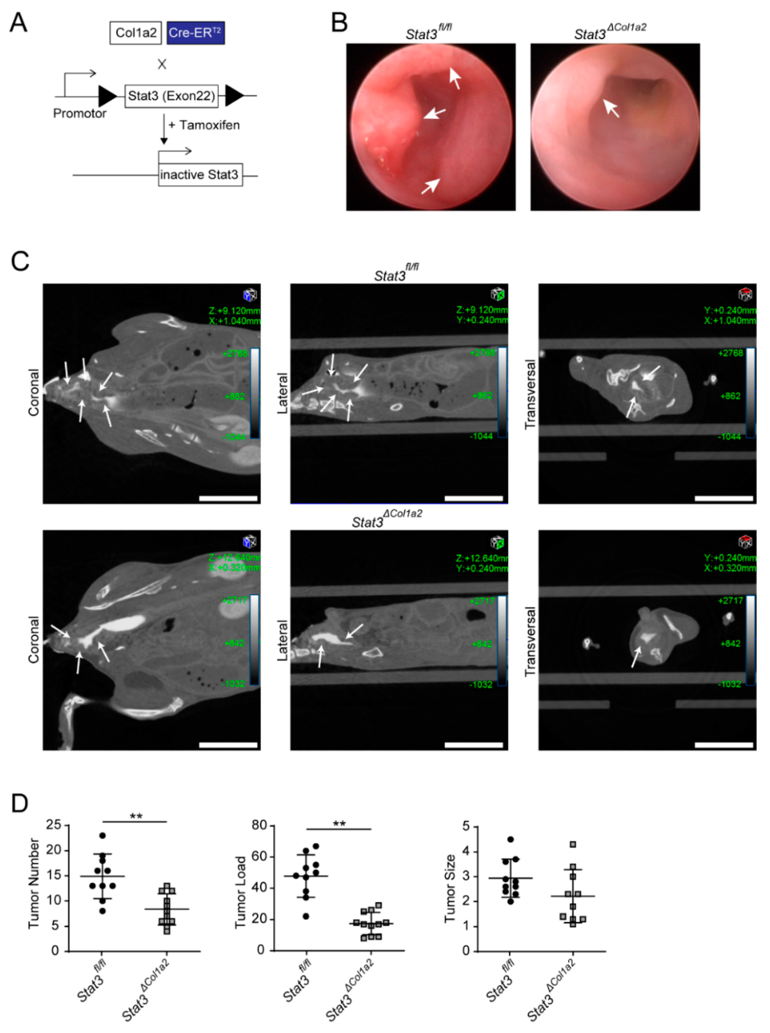 Cancers 14 01472 g004