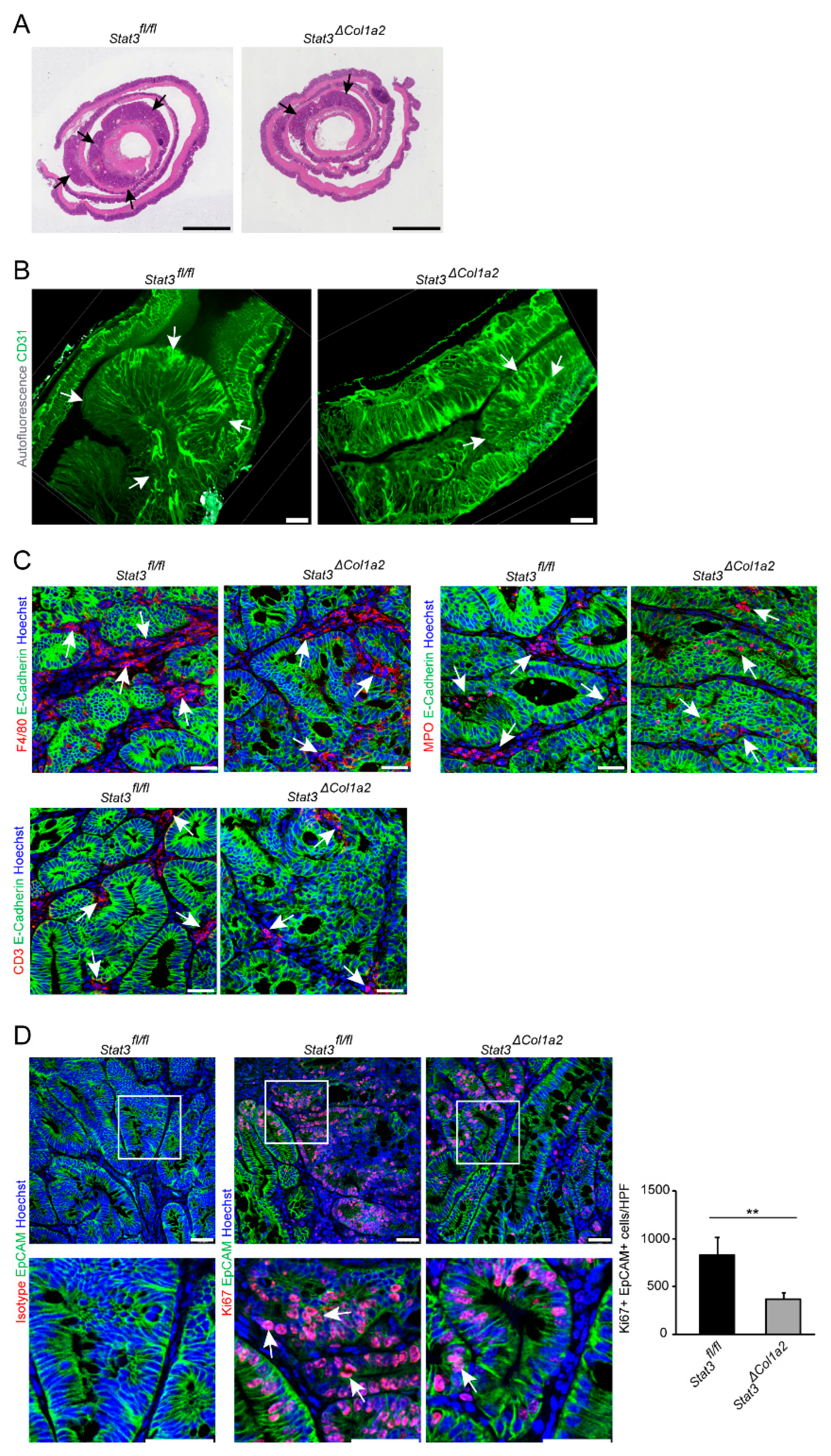 Cancers 14 01472 g005
