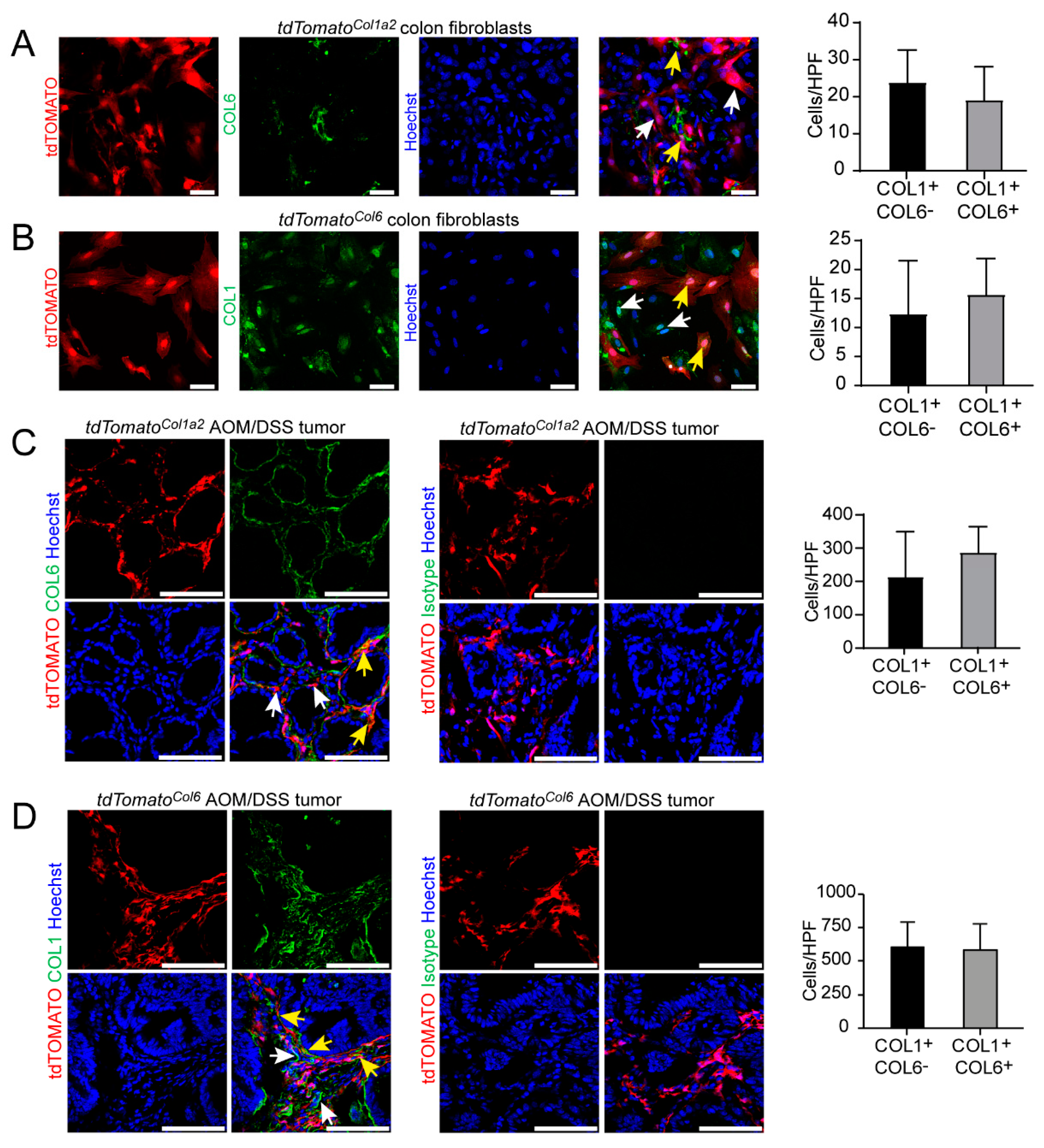Cancers 14 01472 g006