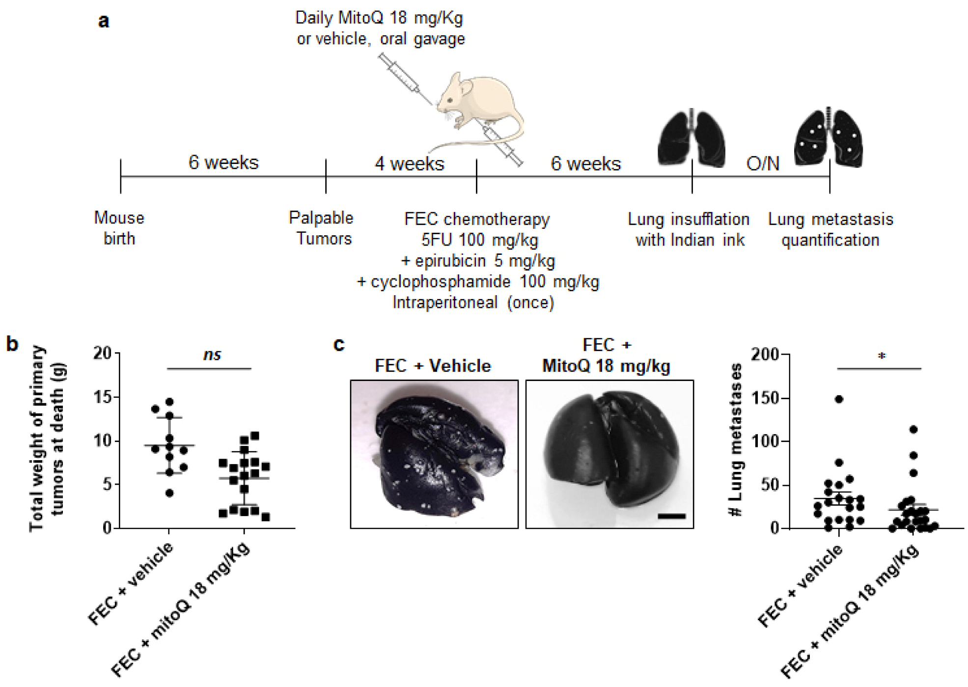 Cancers 14 01488 g005