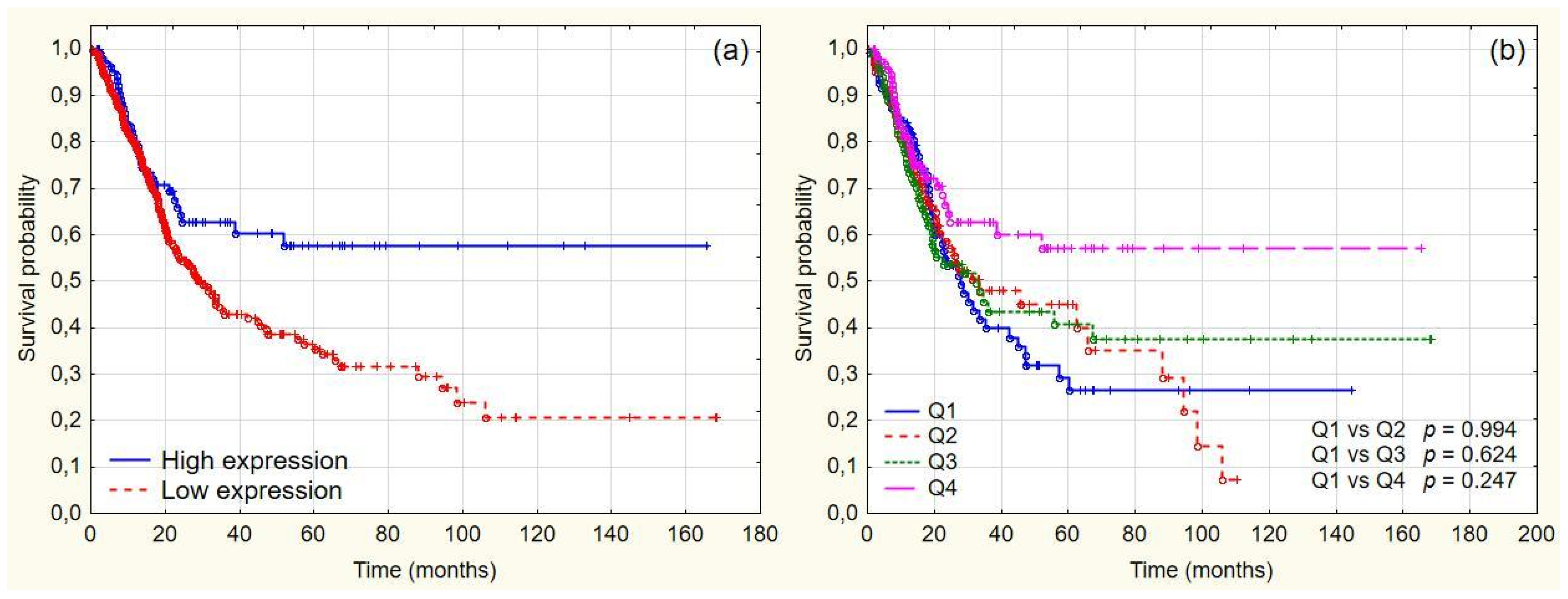 Cancers 14 01492 g004