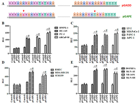 Cancers 14 01497 g001