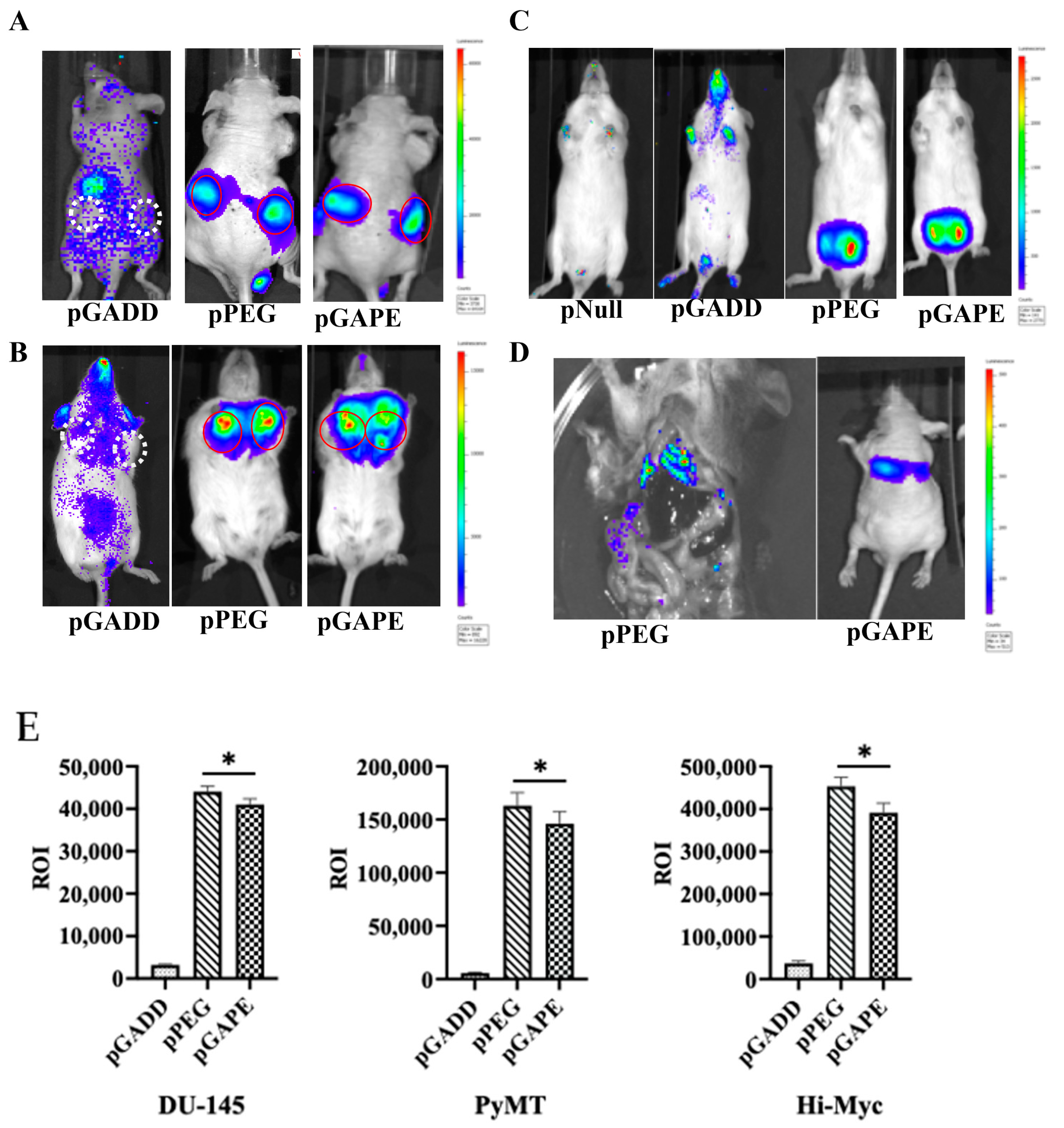 Cancers 14 01497 g002
