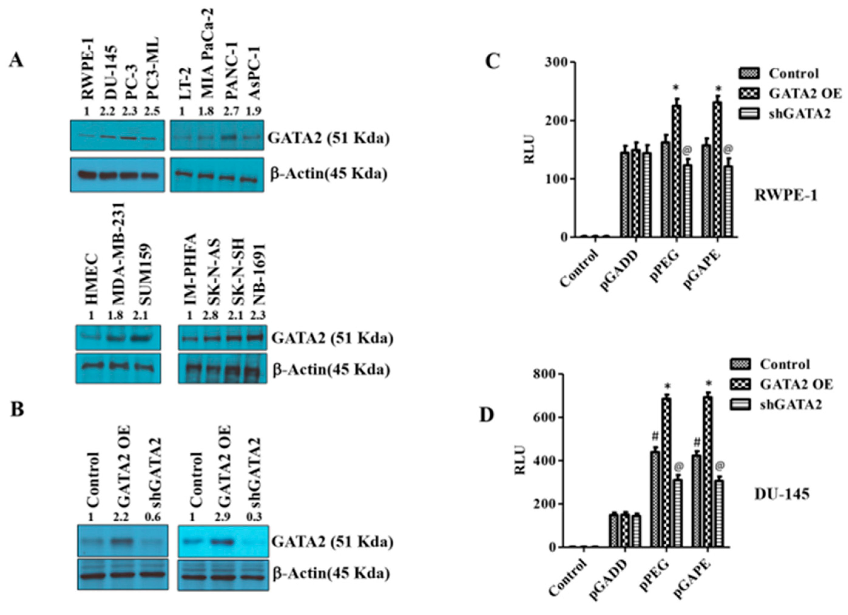 Cancers 14 01497 g004