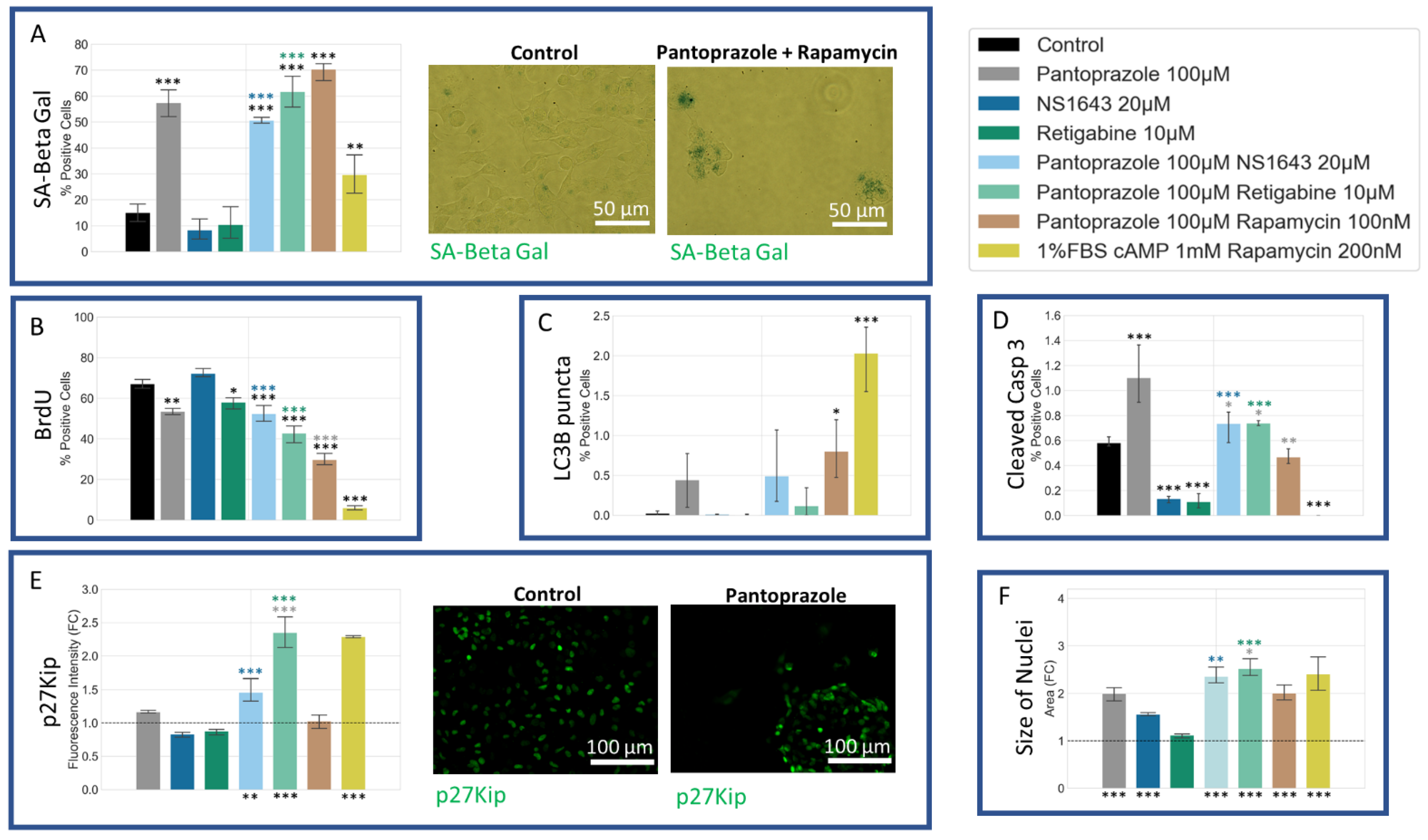Cancers 14 01499 g010 Cancers 14 01499 g010
