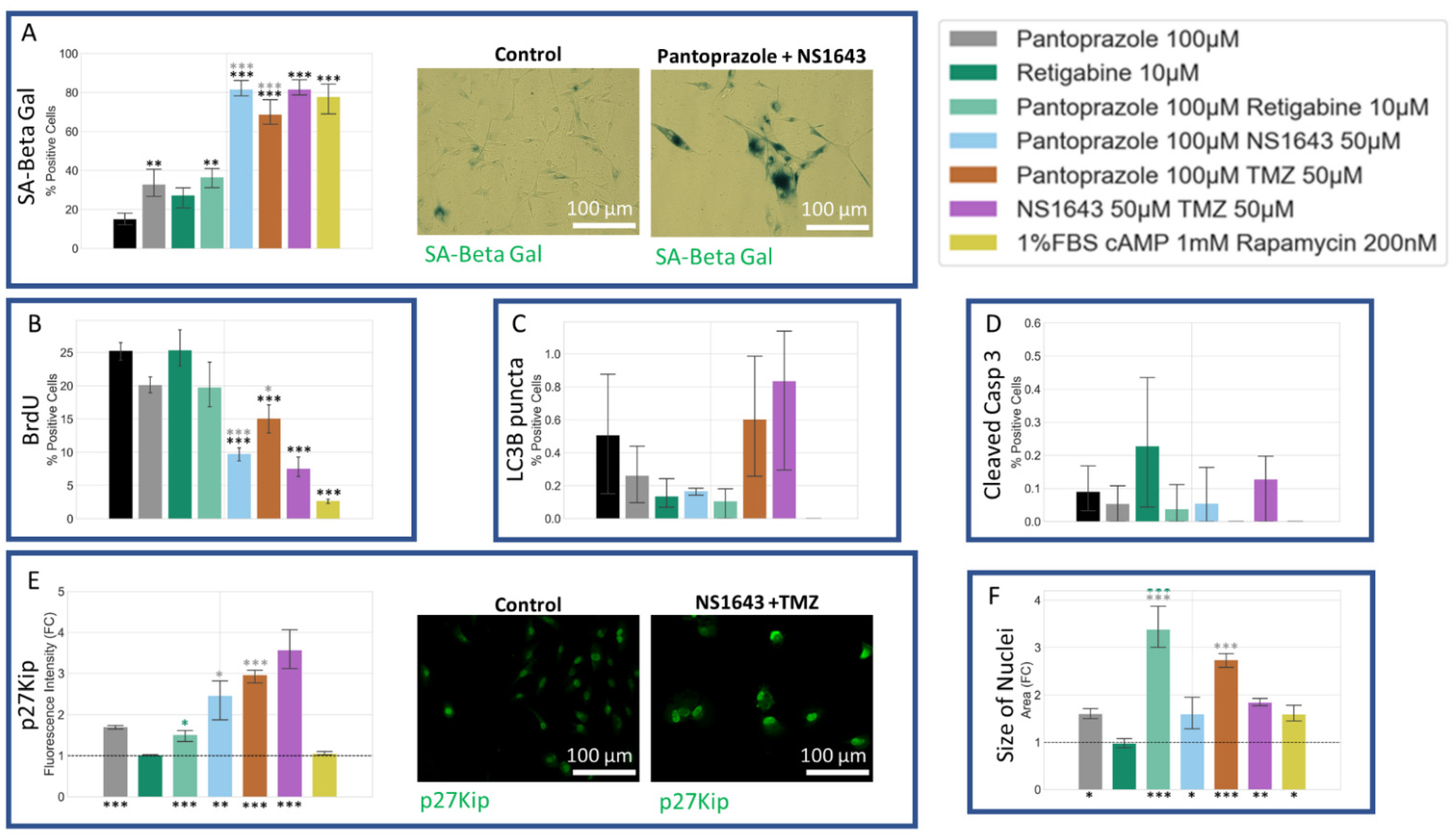 Cancers 14 01499 g014 Cancers 14 01499 g014