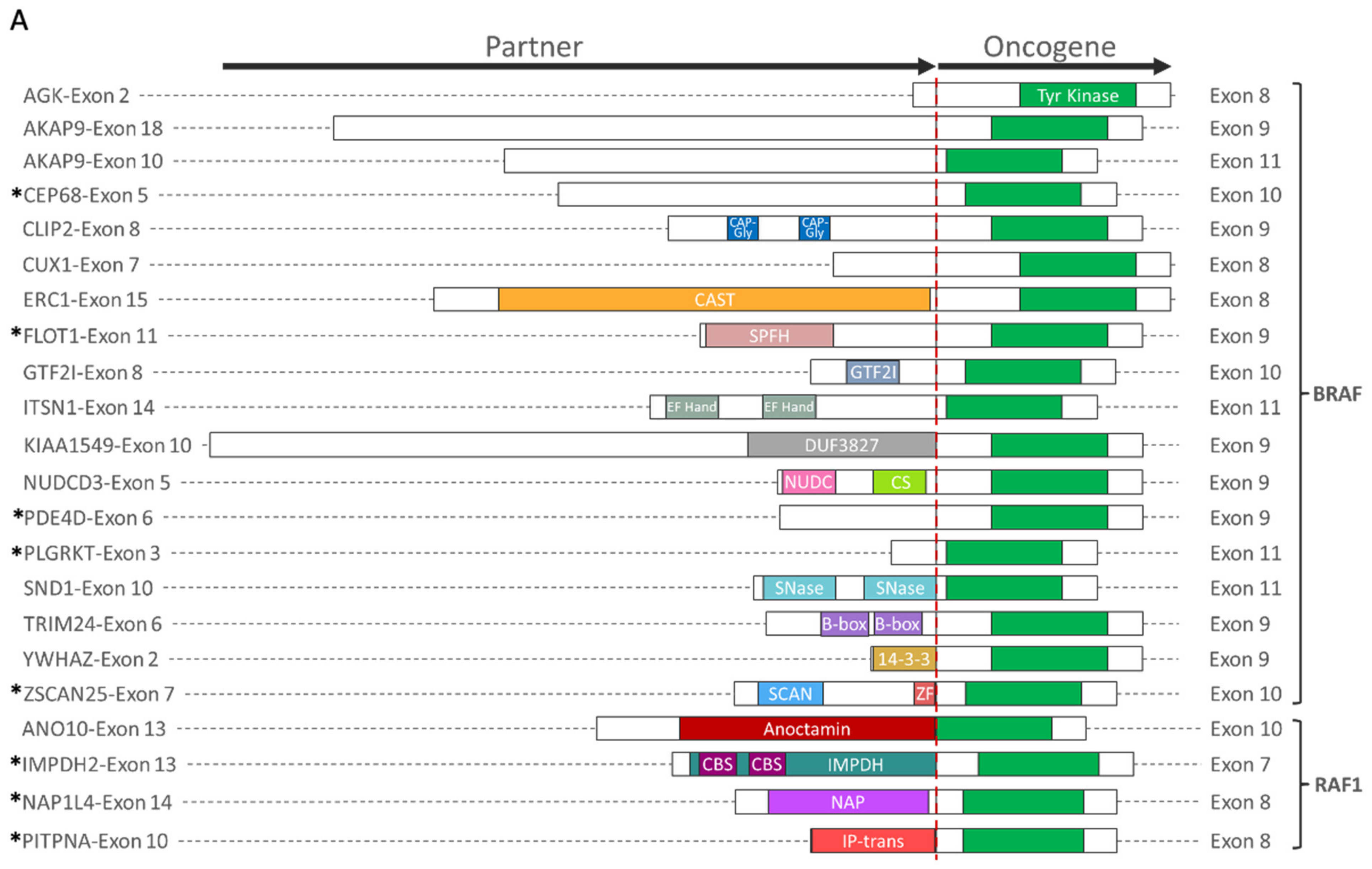 Cancers 14 01505 g002a
