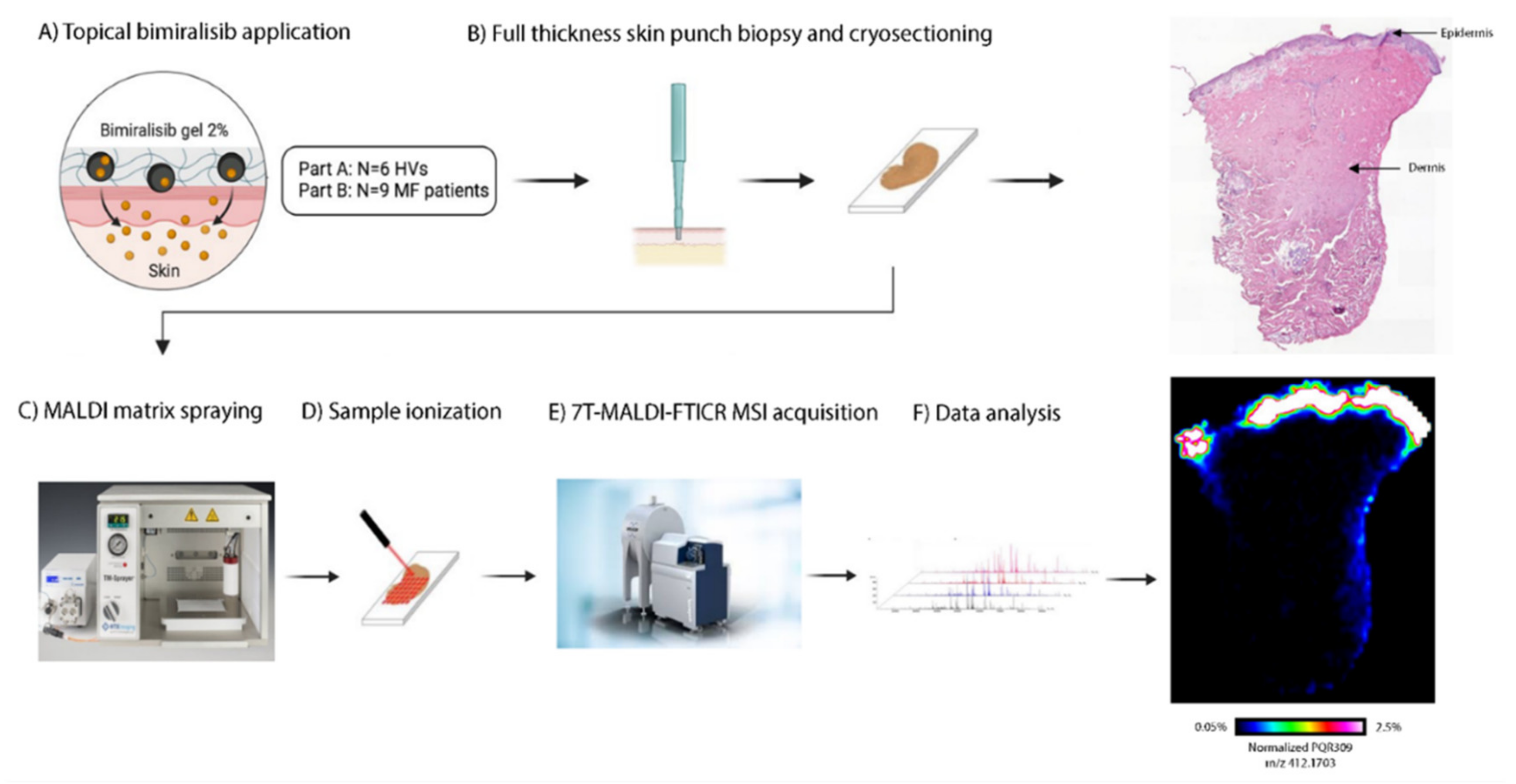 Cancers 14 01510 g001