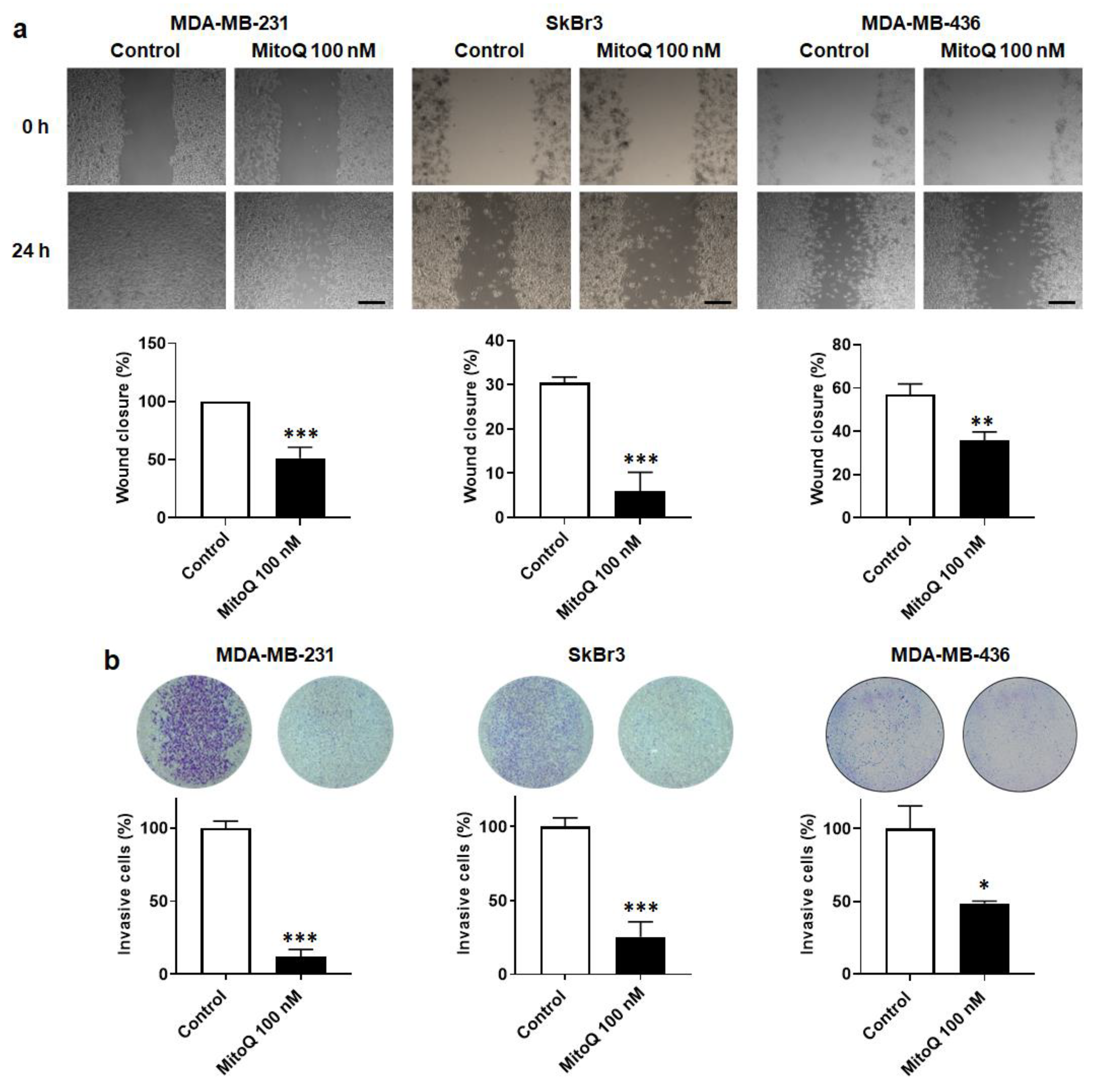 Cancers 14 01516 g005