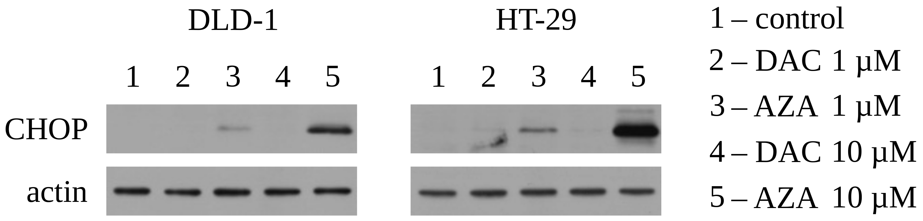 Cancers 14 01530 g003