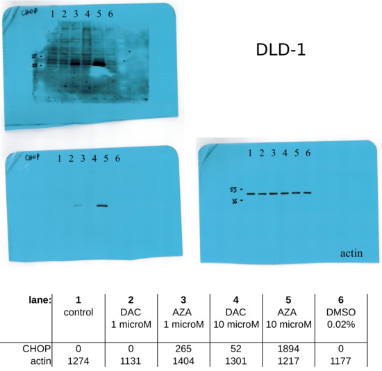 Cancers 14 01530 g0a10