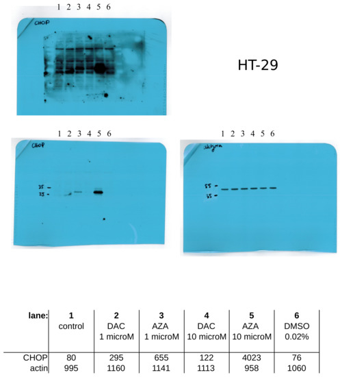 Cancers 14 01530 g0a11