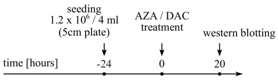 Cancers 14 01530 g0a3