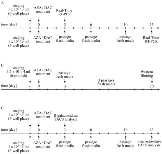 Cancers 14 01530 g0a7