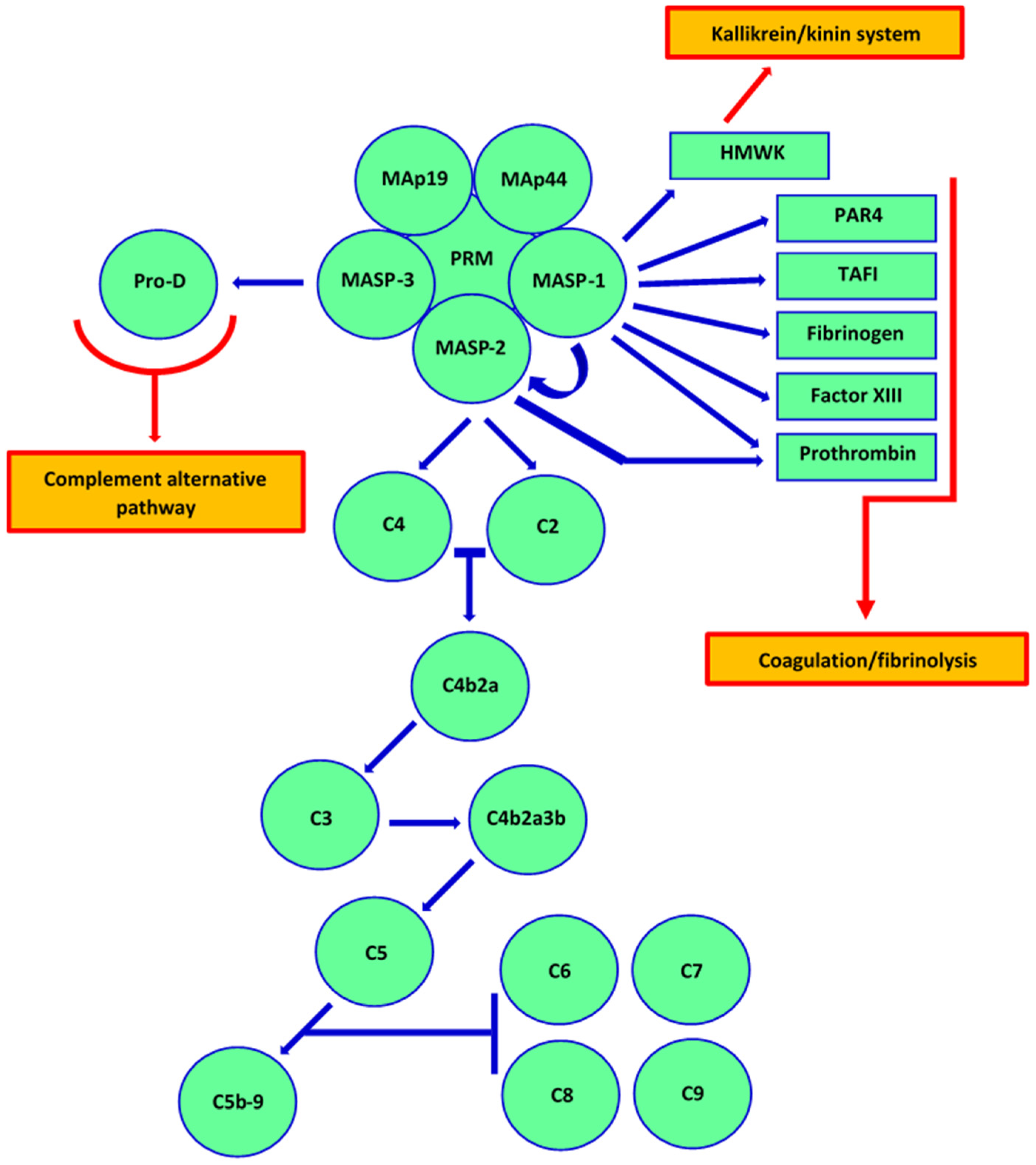 Cancers 14 01543 g001