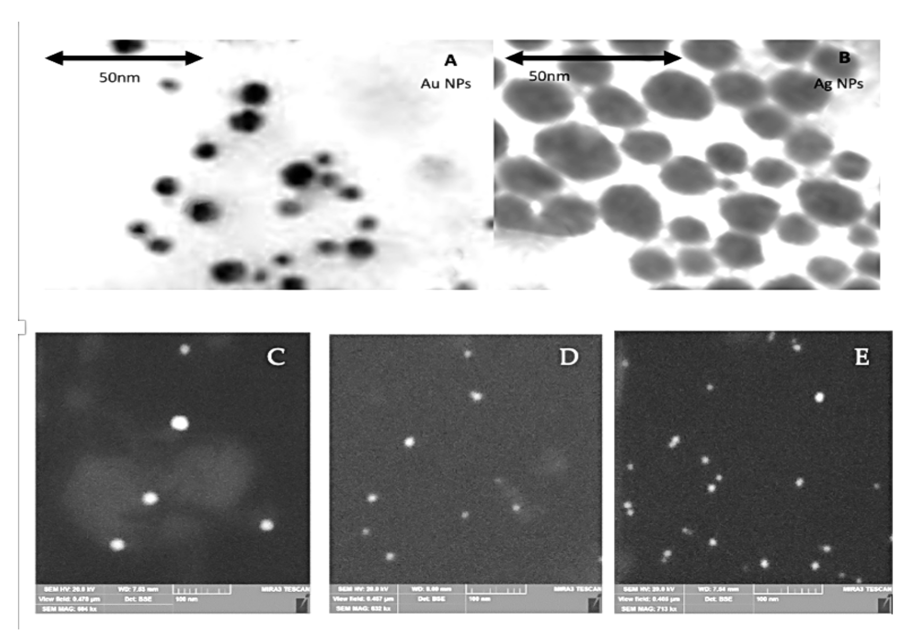 Cancers 14 01546 g002