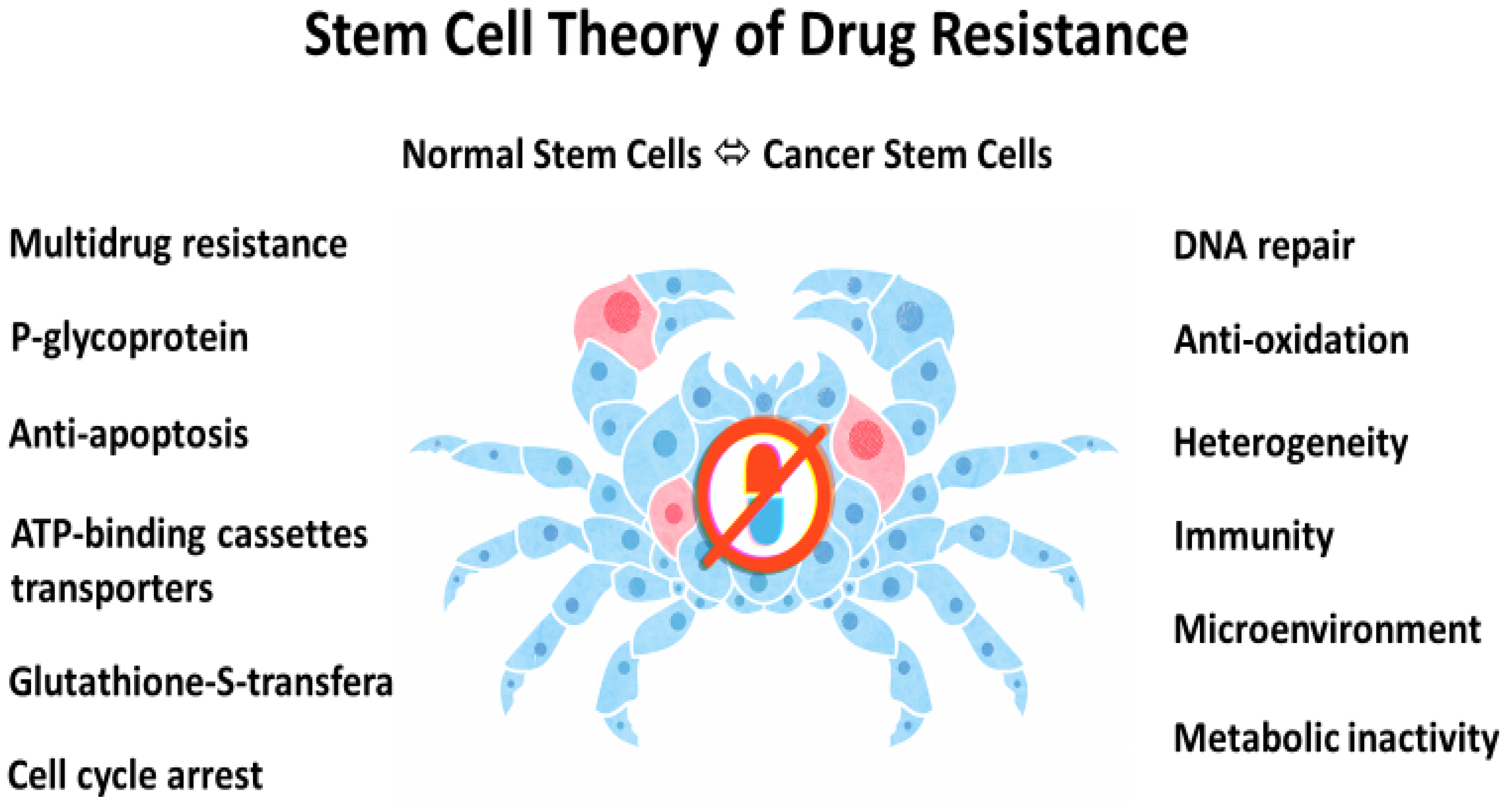 Cancers 14 01548 g001