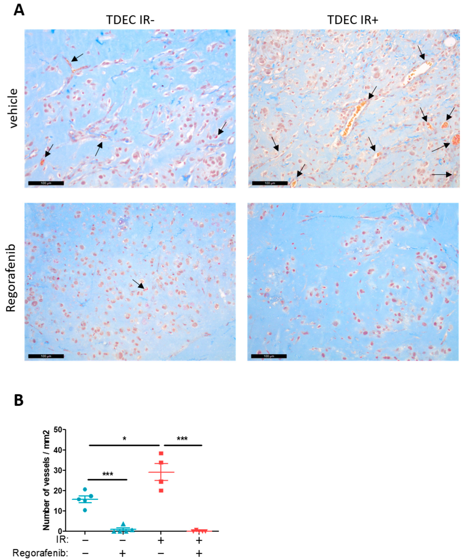 Cancers 14 01551 g006