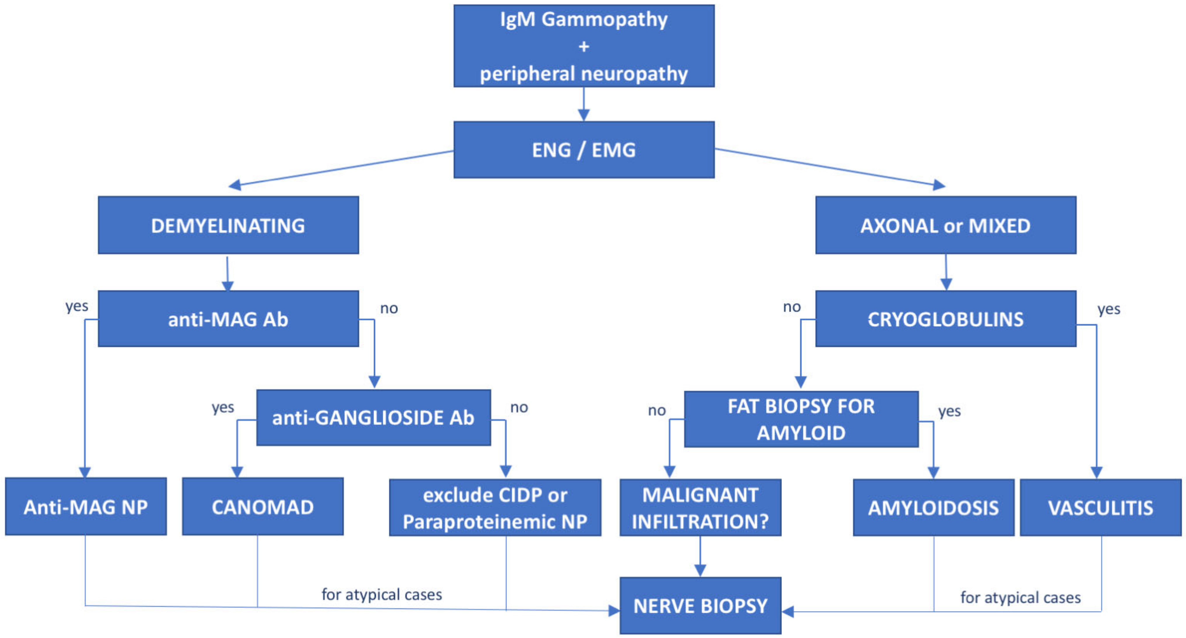 Cancers 14 01562 g002