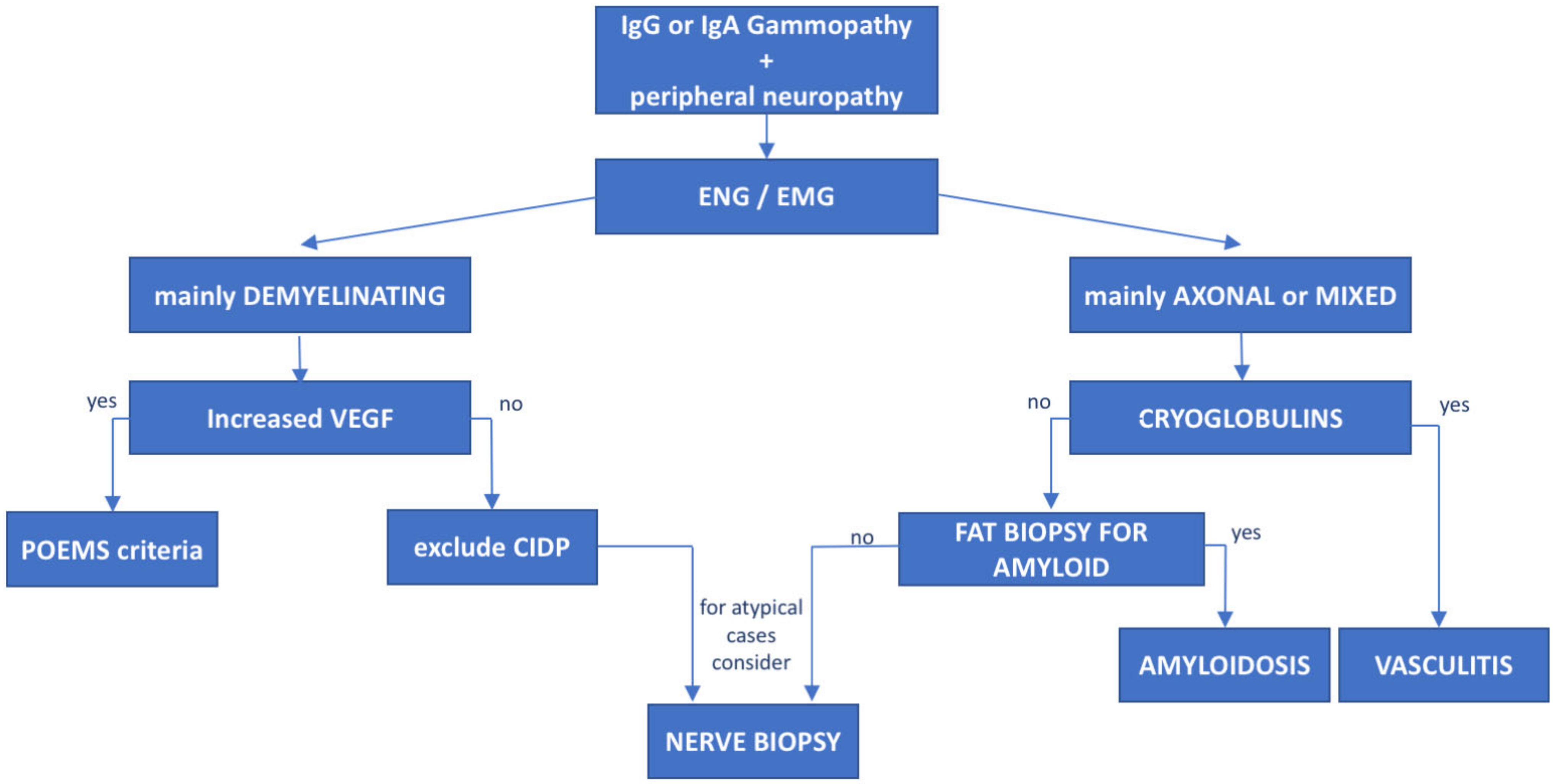 Cancers 14 01562 g003