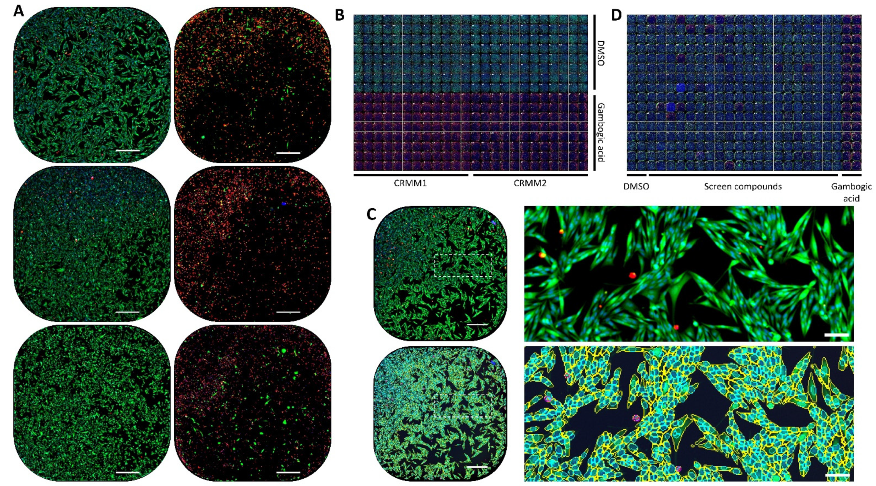 Cancers 14 01575 g001