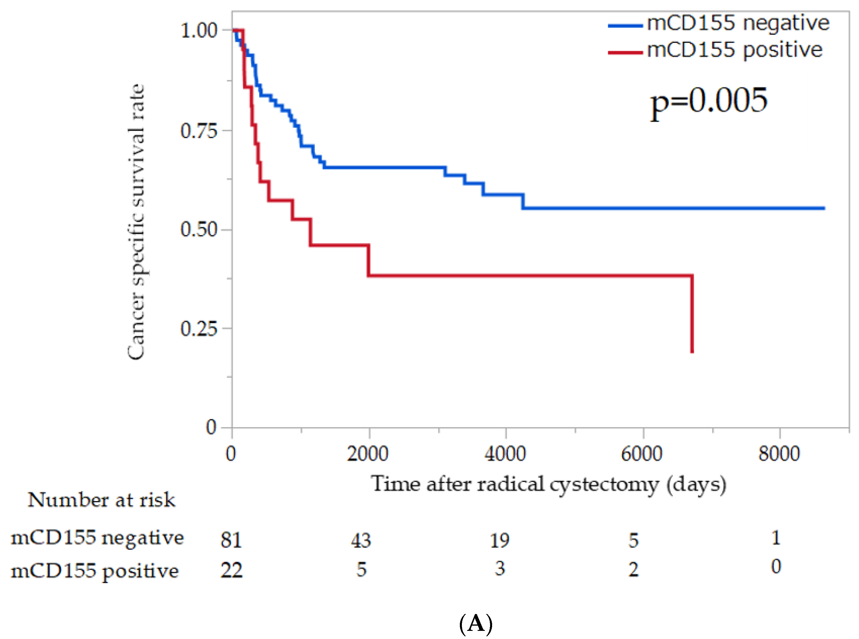 Cancers 14 01576 g002a
