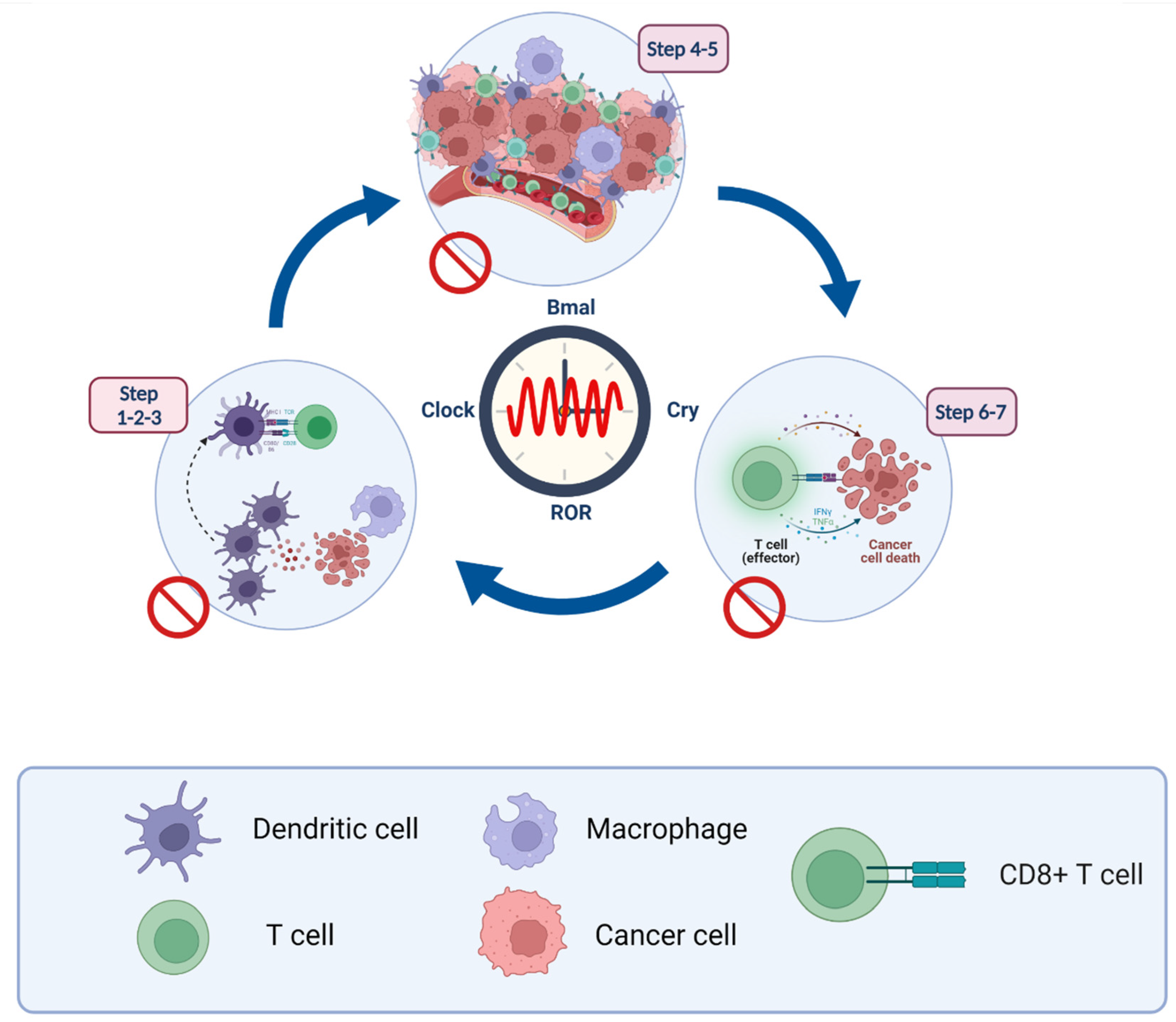 Cancers 14 01578 g003