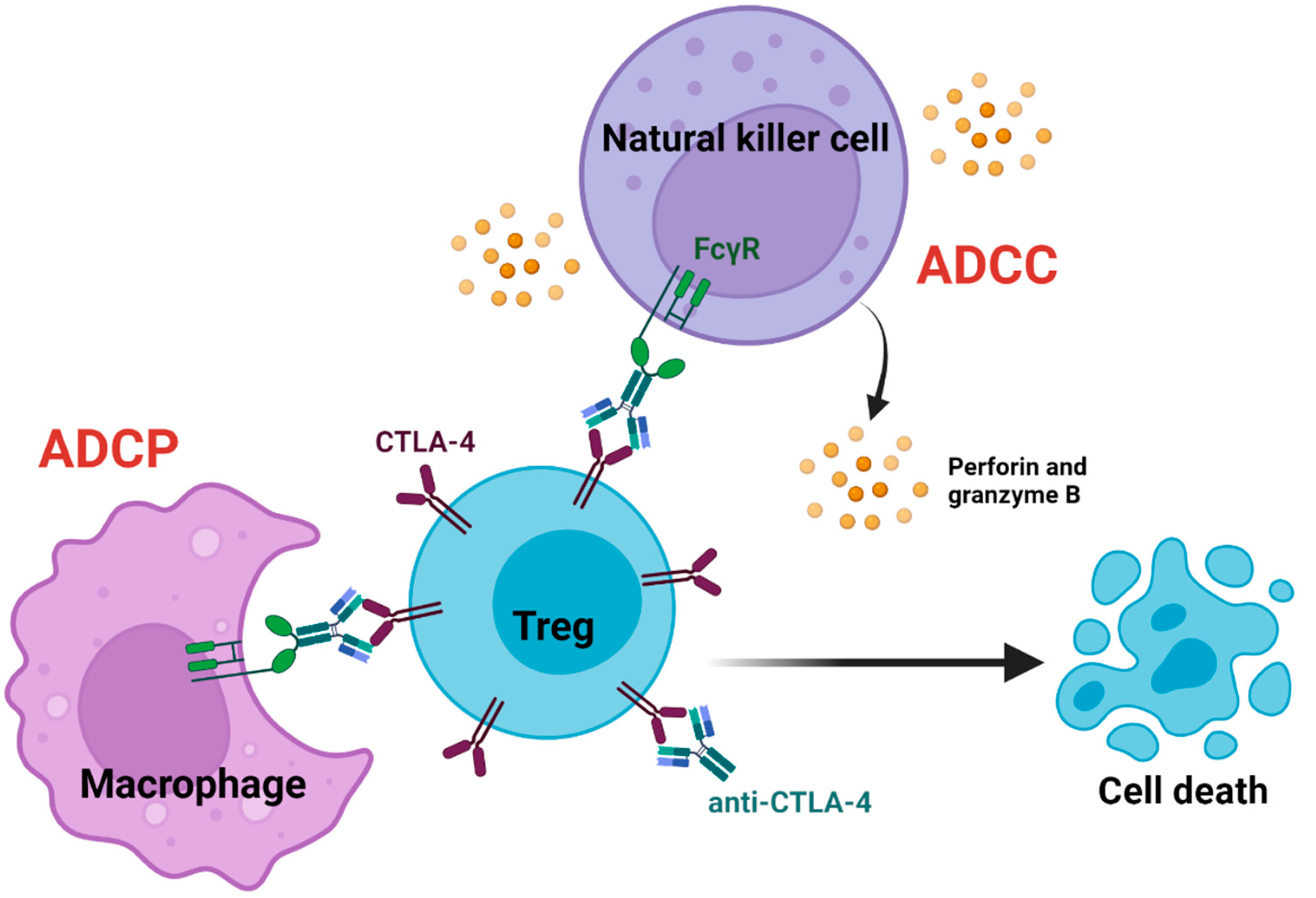 Cancers 14 01580 g002