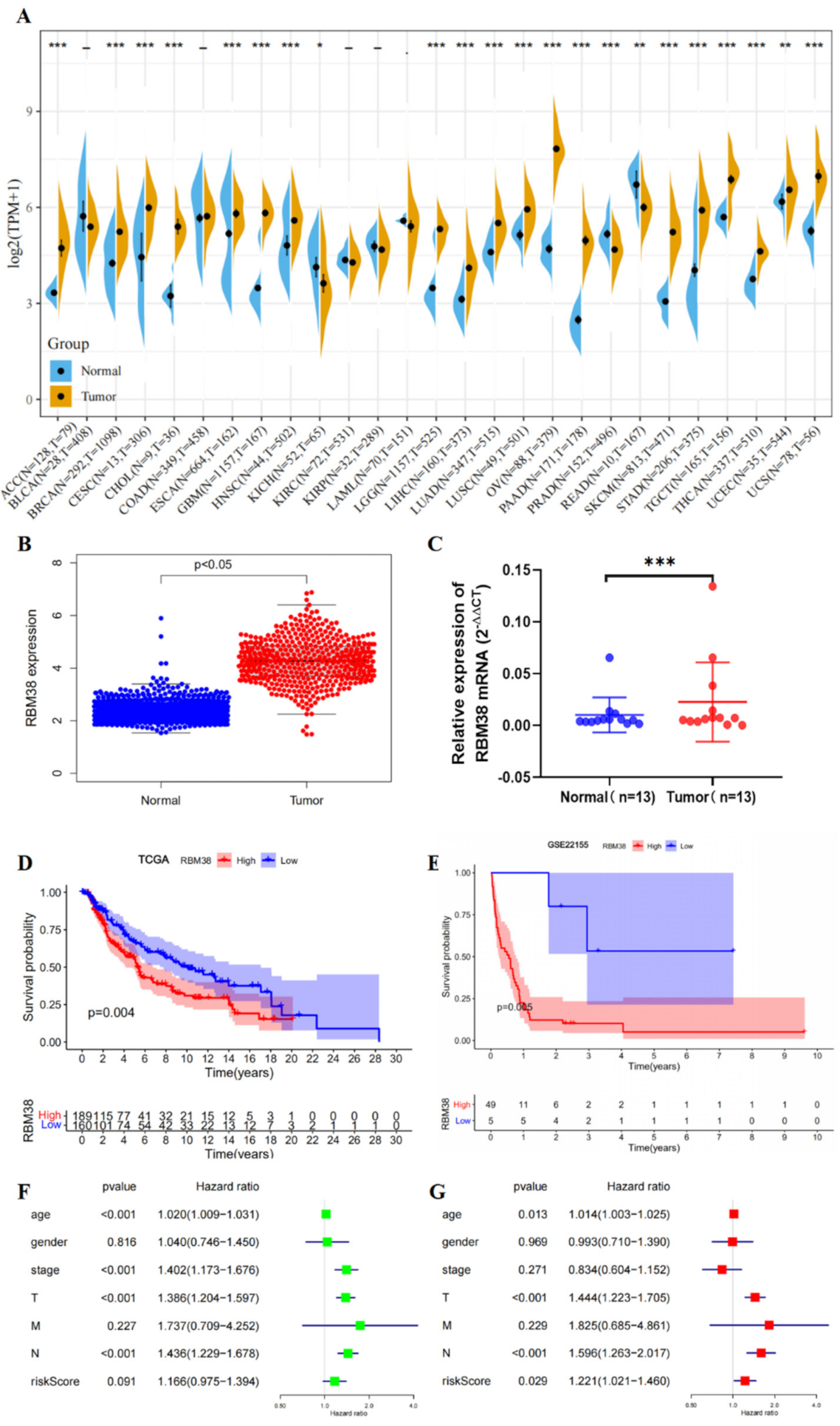 Cancers 14 01590 g001