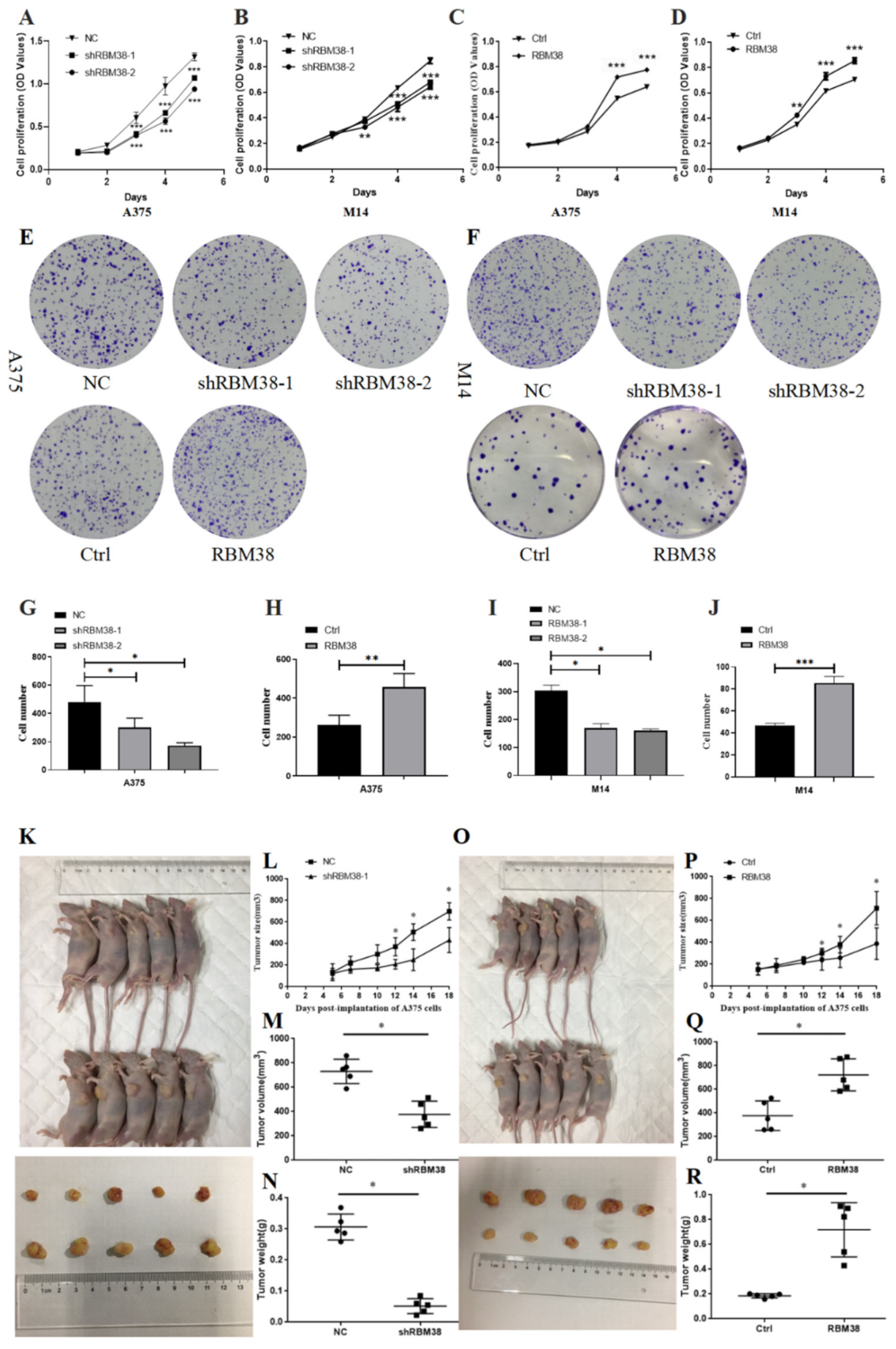 Cancers 14 01590 g002