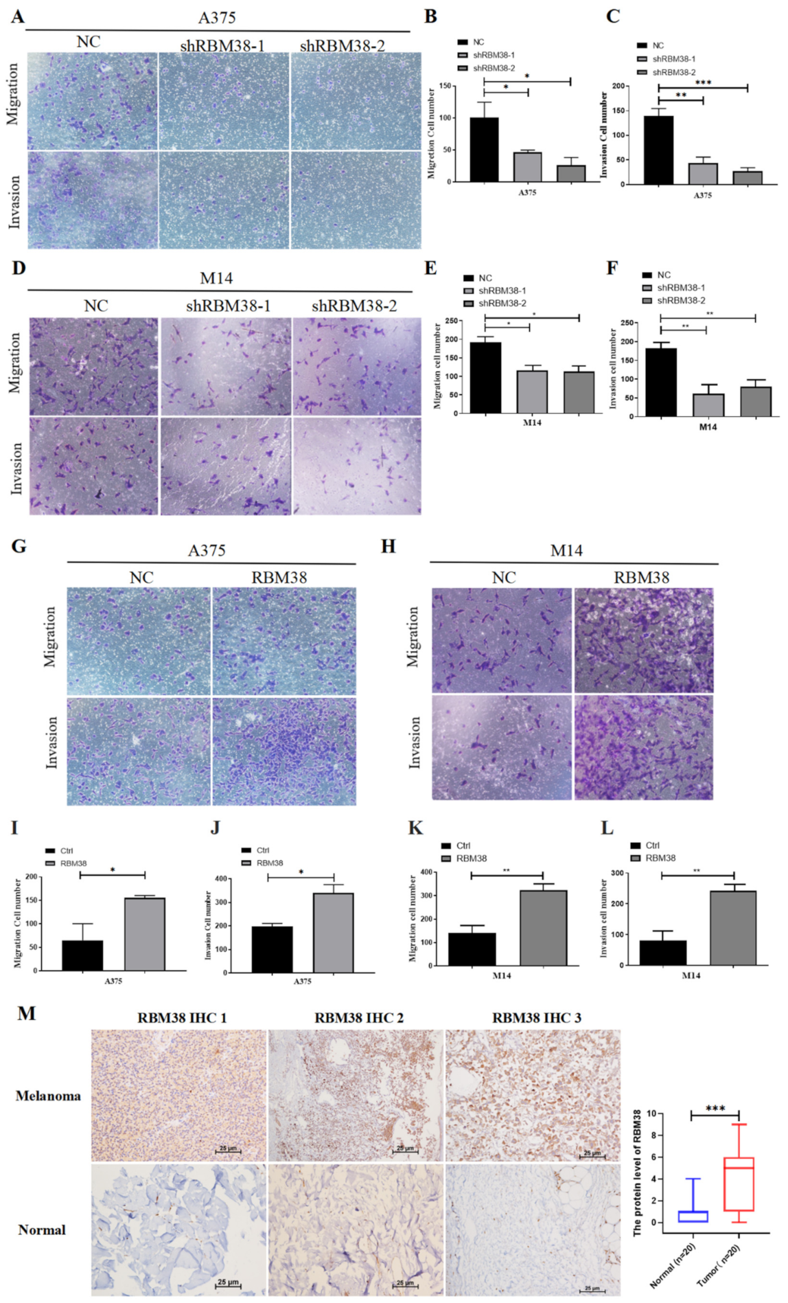 Cancers 14 01590 g003