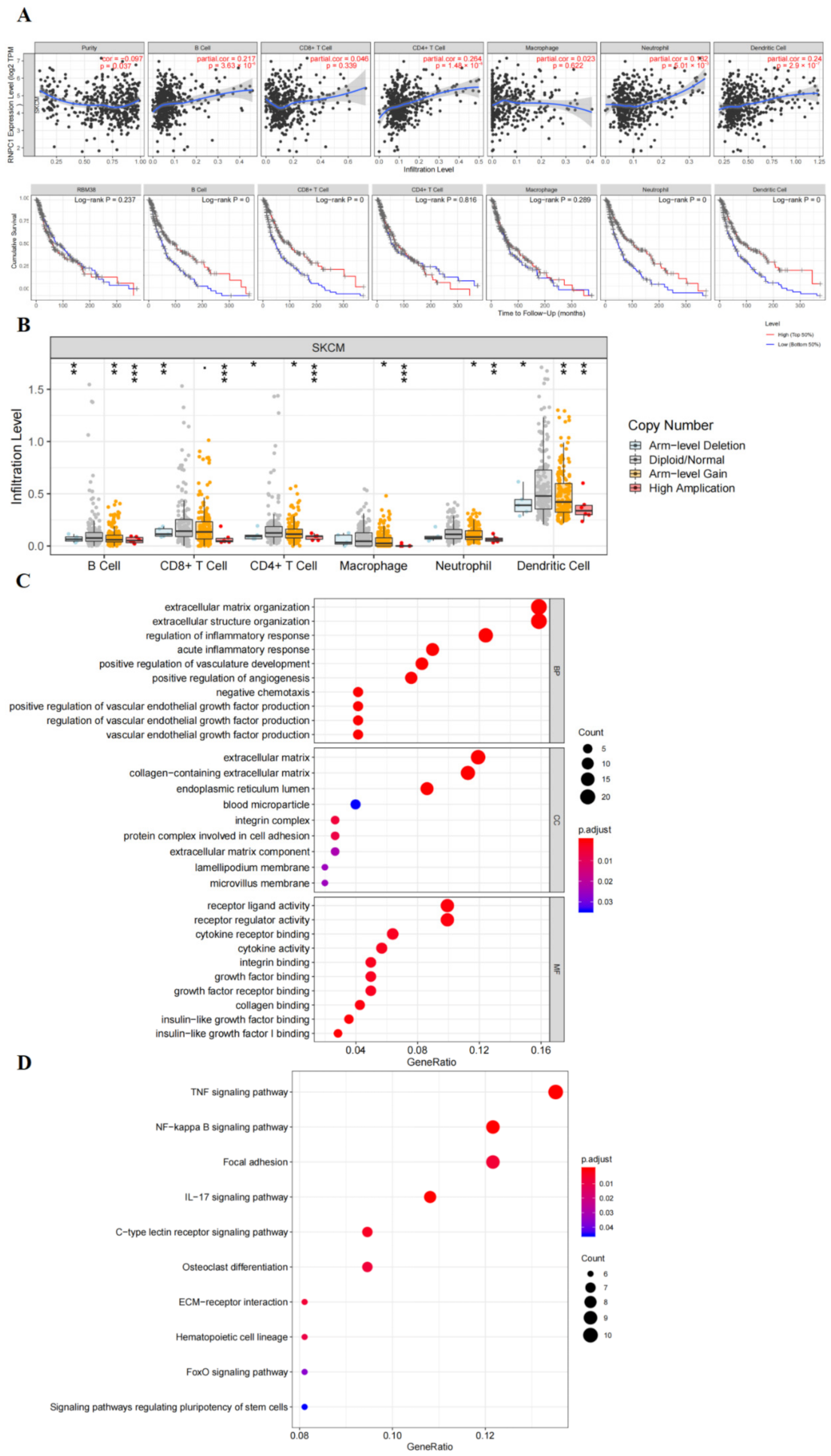 Cancers 14 01590 g004