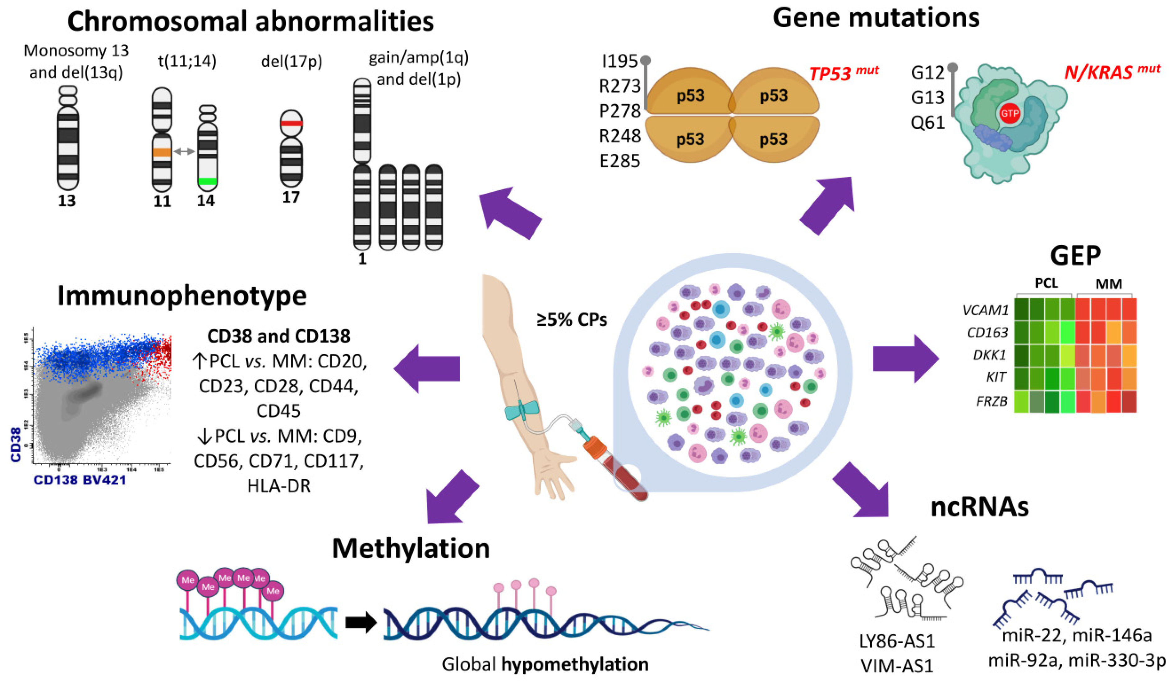 Cancers 14 01594 g001