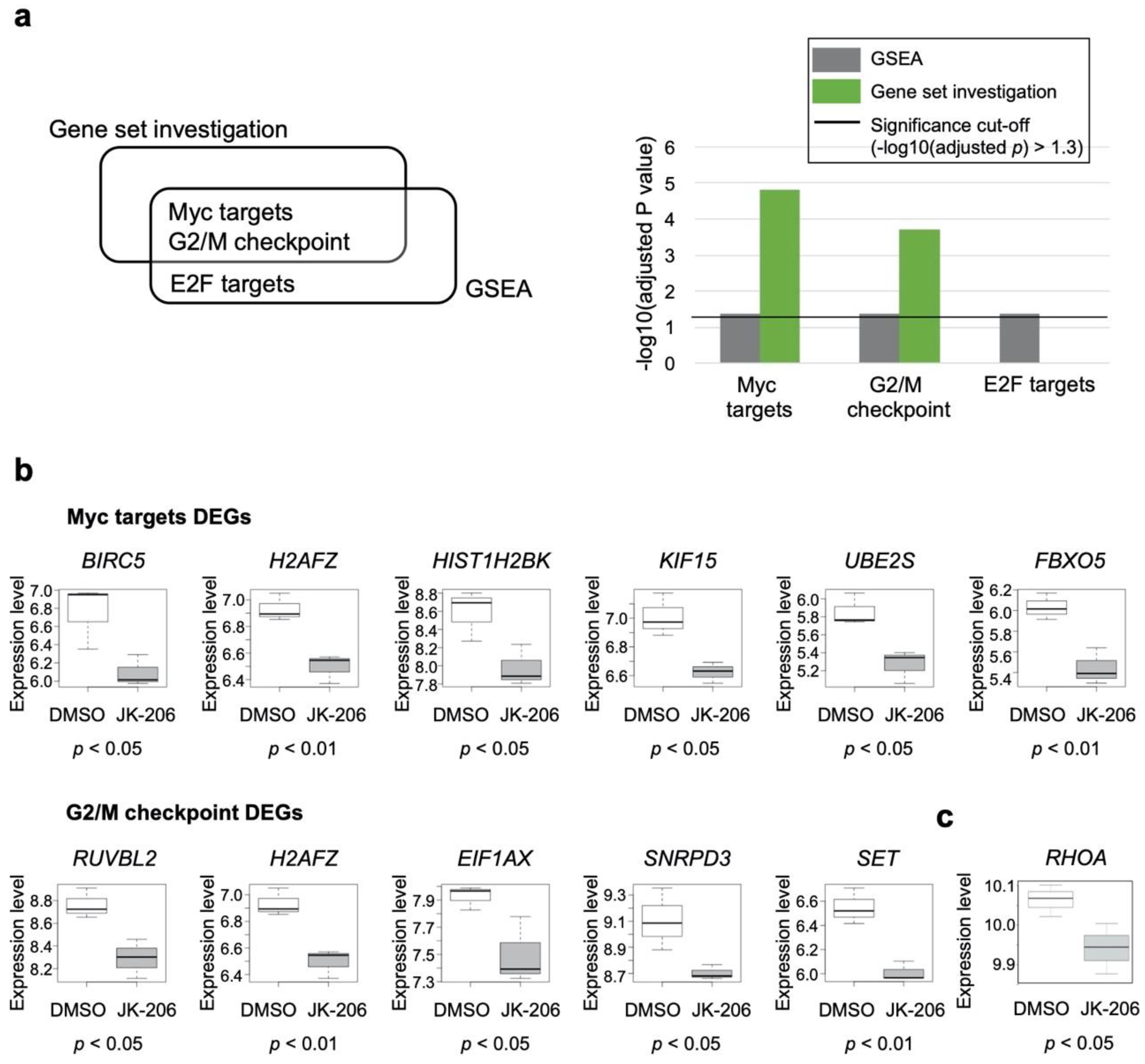 Cancers 14 01604 g004
