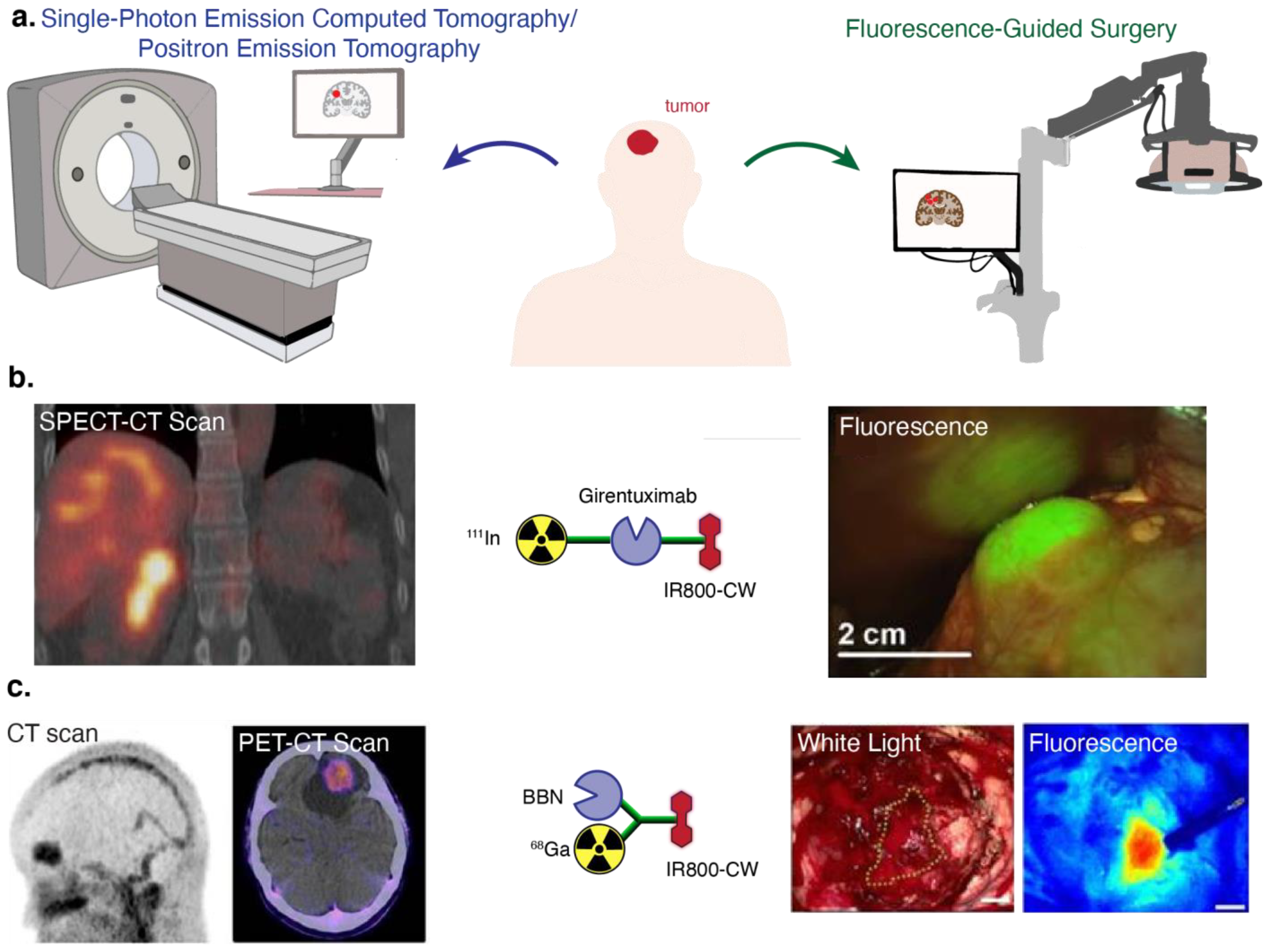 Cancers 14 01619 g001 Cancers 14 01619 g001