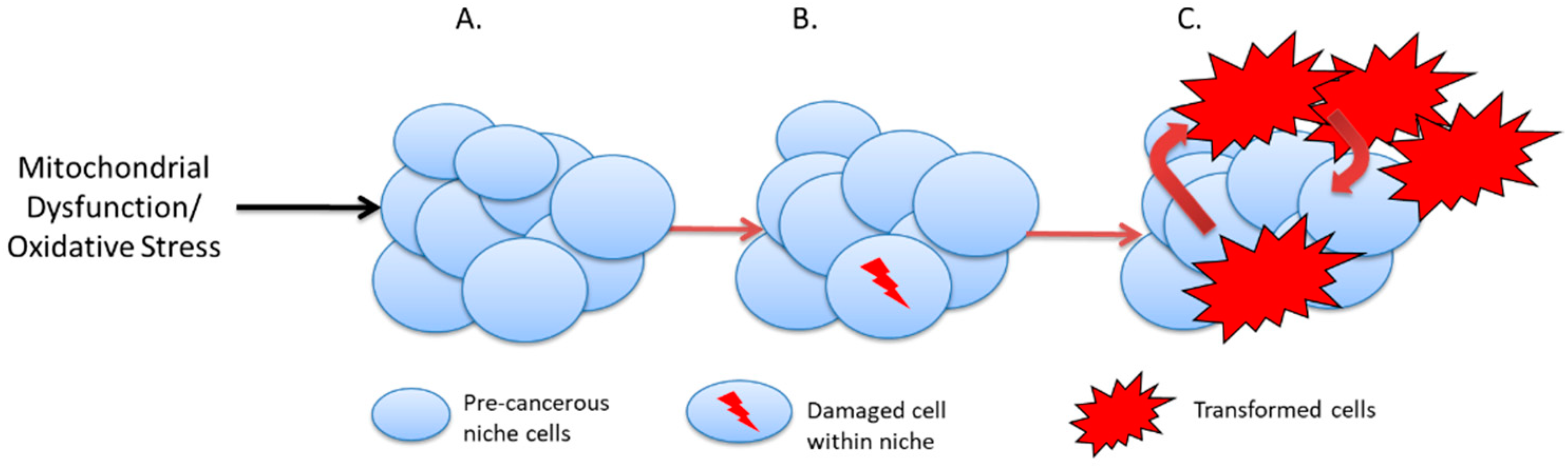 Cancers 14 01621 g002