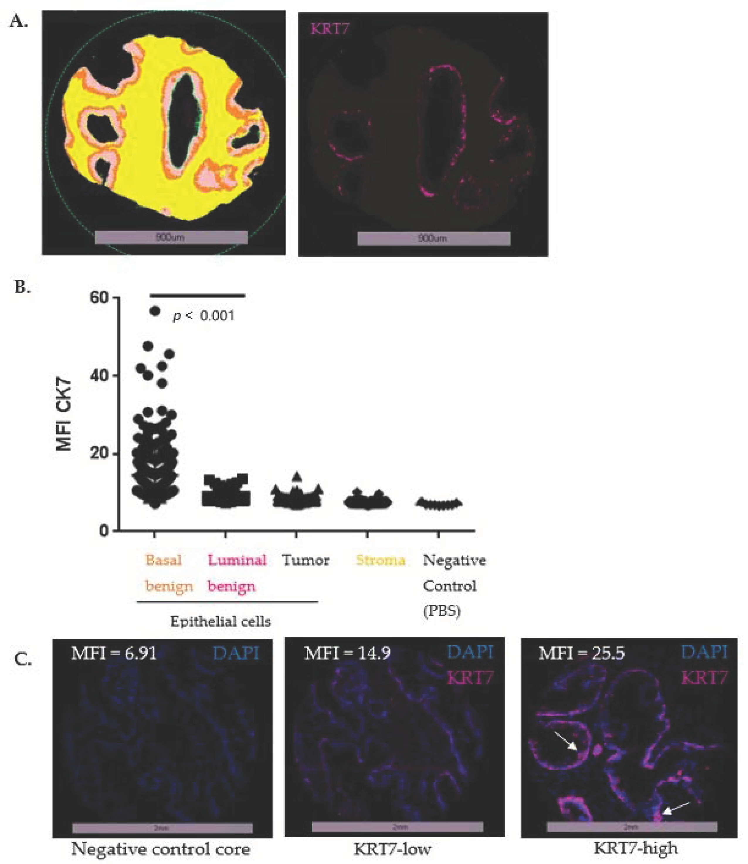 Cancers 14 01623 g004