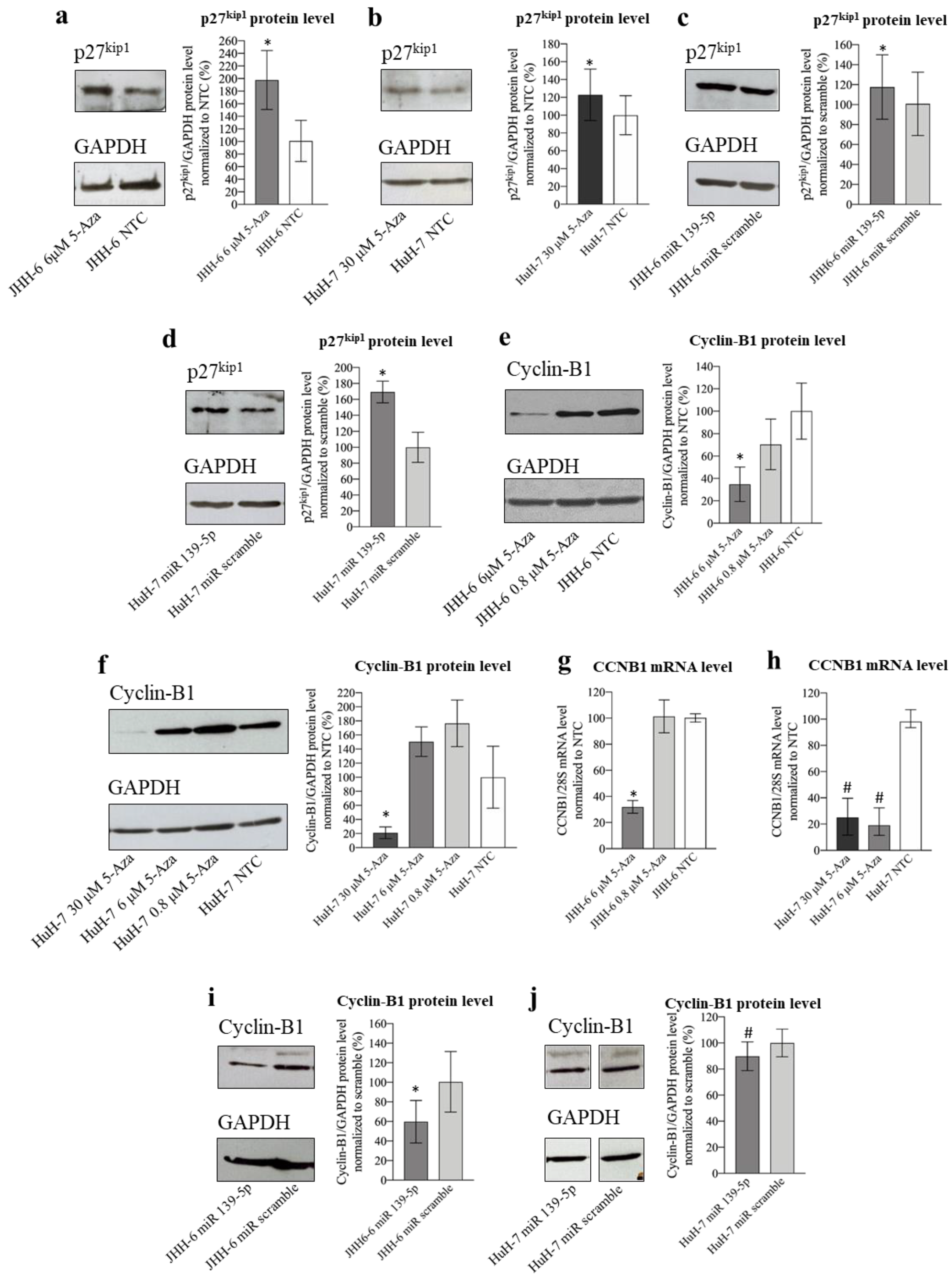 Cancers 14 01630 g007