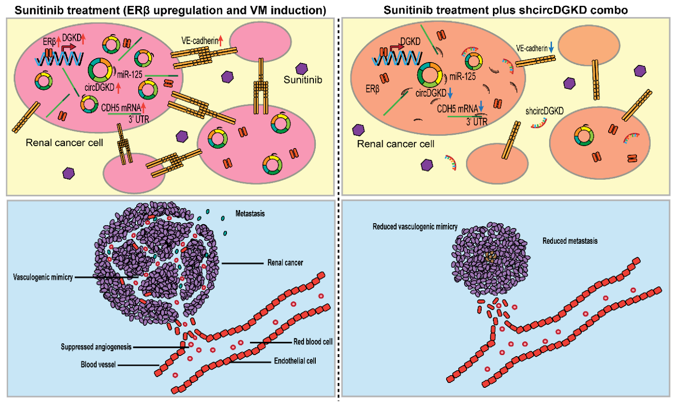 Cancers 14 01639 g007